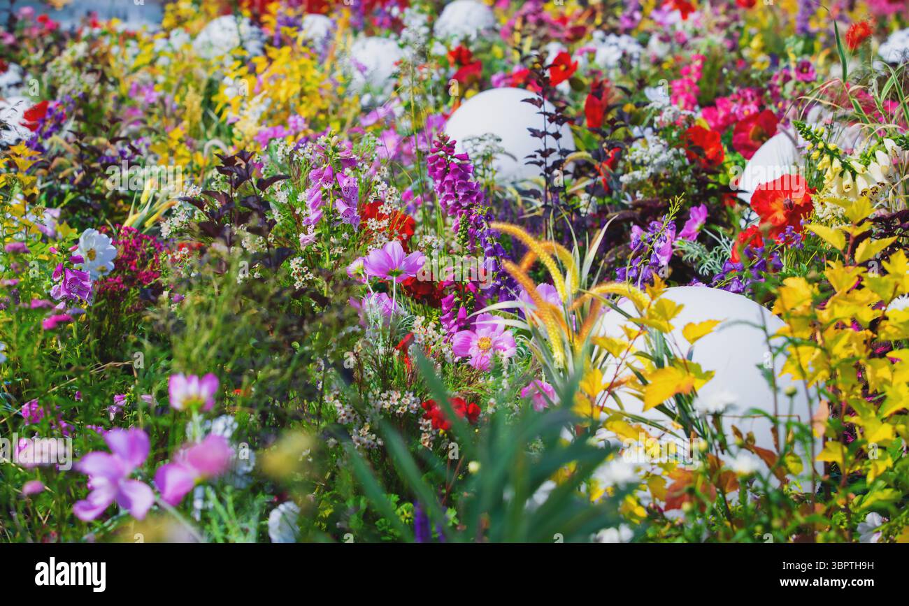 Ein Feld mit vielen schönen bunten Blumen Stockfoto