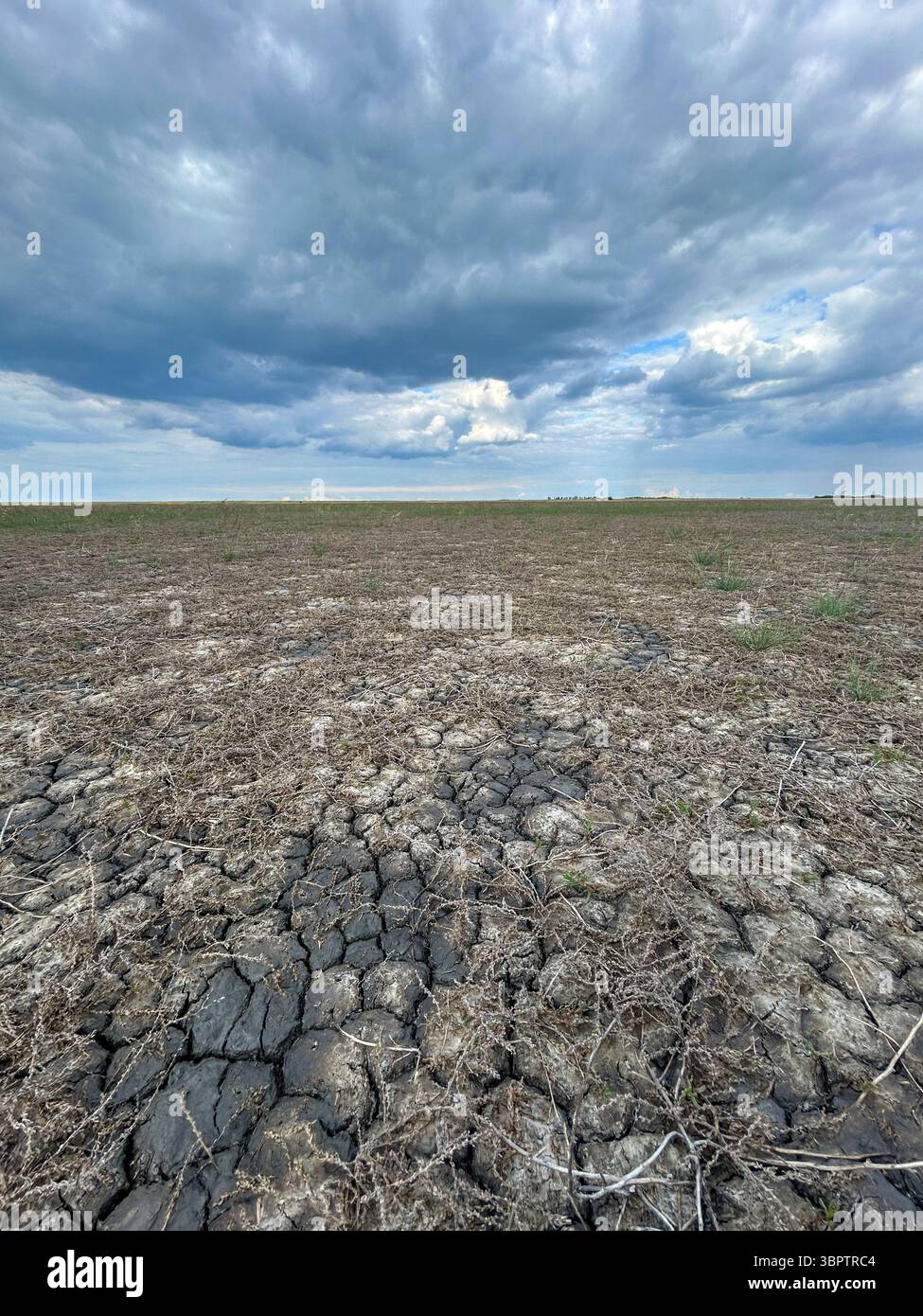 Ausgetrocknete, gerissene Böden unter einem stimmungsvollen Himmel in Slano Kopovo, einem besonderen Naturschutzgebiet in der Nähe von Novi Bečej, Serbien. Ein dramatischer Blick auf eine einzigartige salzreiche Angewohnheit - Smartphone-aufgenommenes Stockfoto