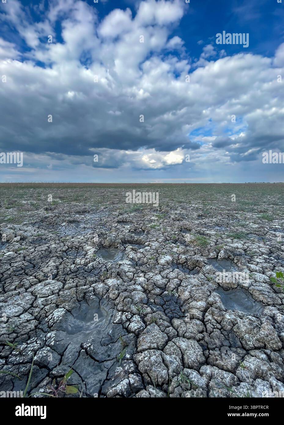 Trockener, rissiger Boden mit kleinen Wasserpfützen unter einem dramatischen bewölkten Himmel in Slano Kopovo, einem besonderen Naturschutzgebiet in der Nähe von Novi Bečej, Serbien. - Smartphone-aufgenommenes Stockfoto