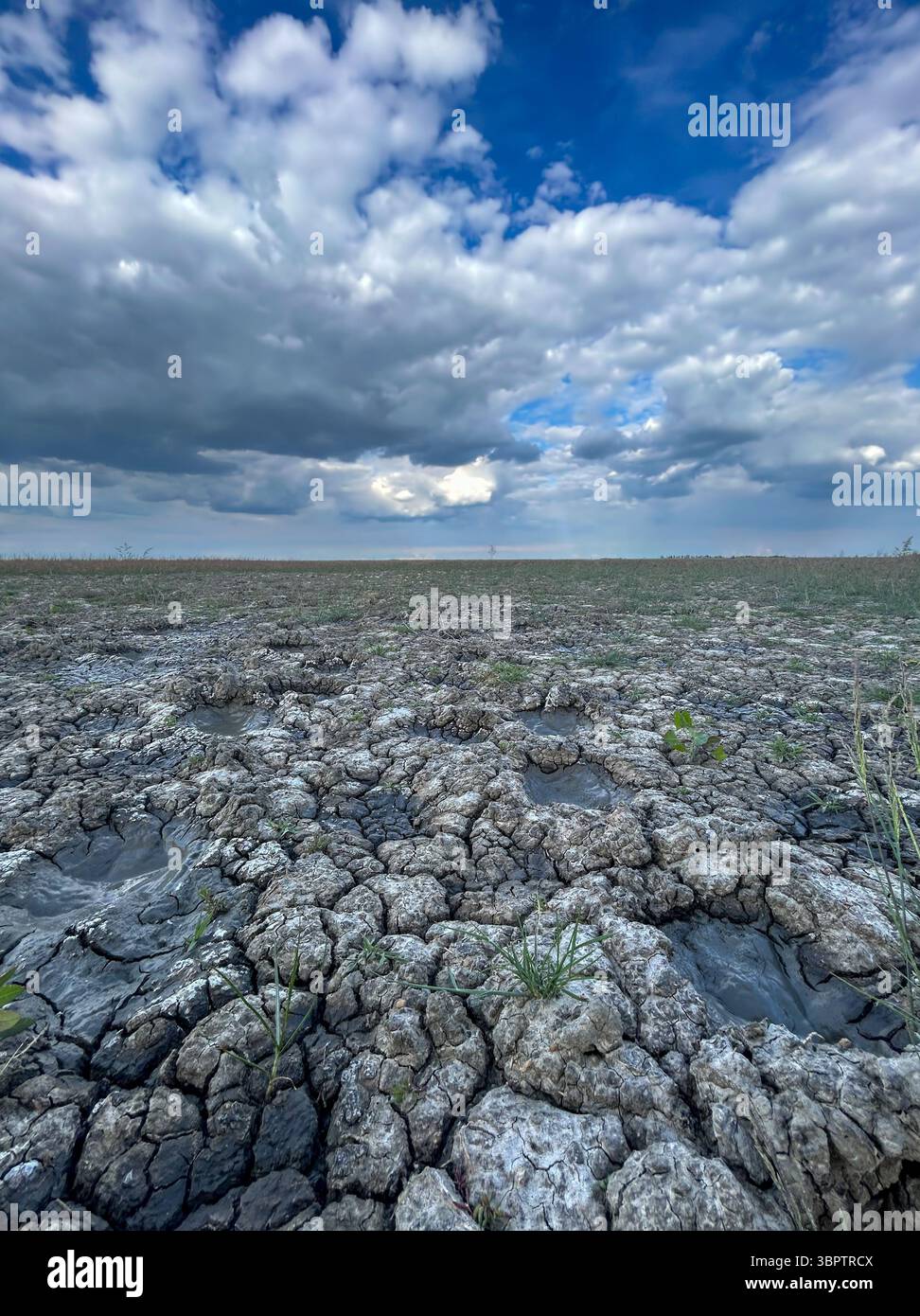 Zerrissene Schlammflächen mit kleinen Pfützen und verstreutem Gras unter einem dramatischen Himmel in Slano Kopovo, einem Naturschutzgebiet in der Nähe von Novi Bečej, Serbien. - Smartphone-aufgenommenes Stockfoto