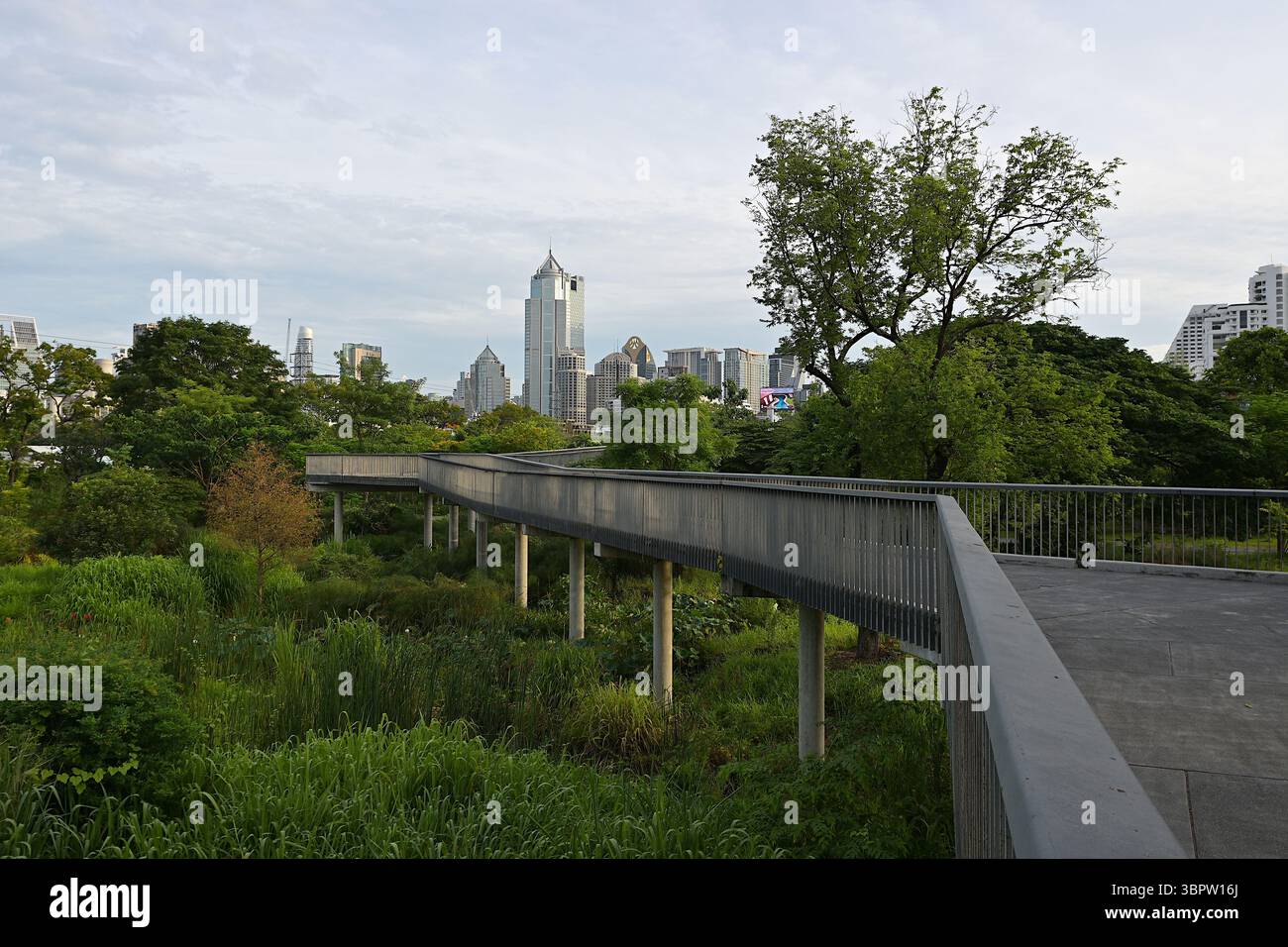 Die erhöhten Skywalks im Benjakitti Park im Zentrum von Bangkok bieten einen malerischen Blick auf die Skyline der Hauptstadt Stockfoto