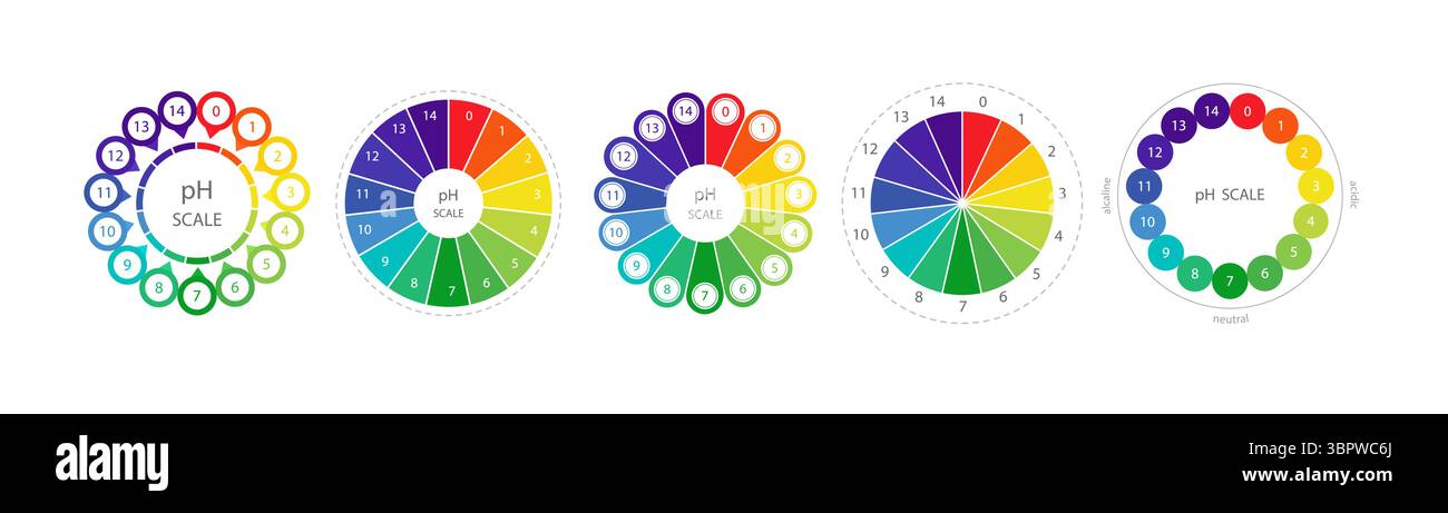 Diagramm der PH-Skala. Messgerät für Säure- und Alkali-Gleichgewicht. Chemische Analyse oder Test. Satz von Vektorabbildungen Stock Vektor