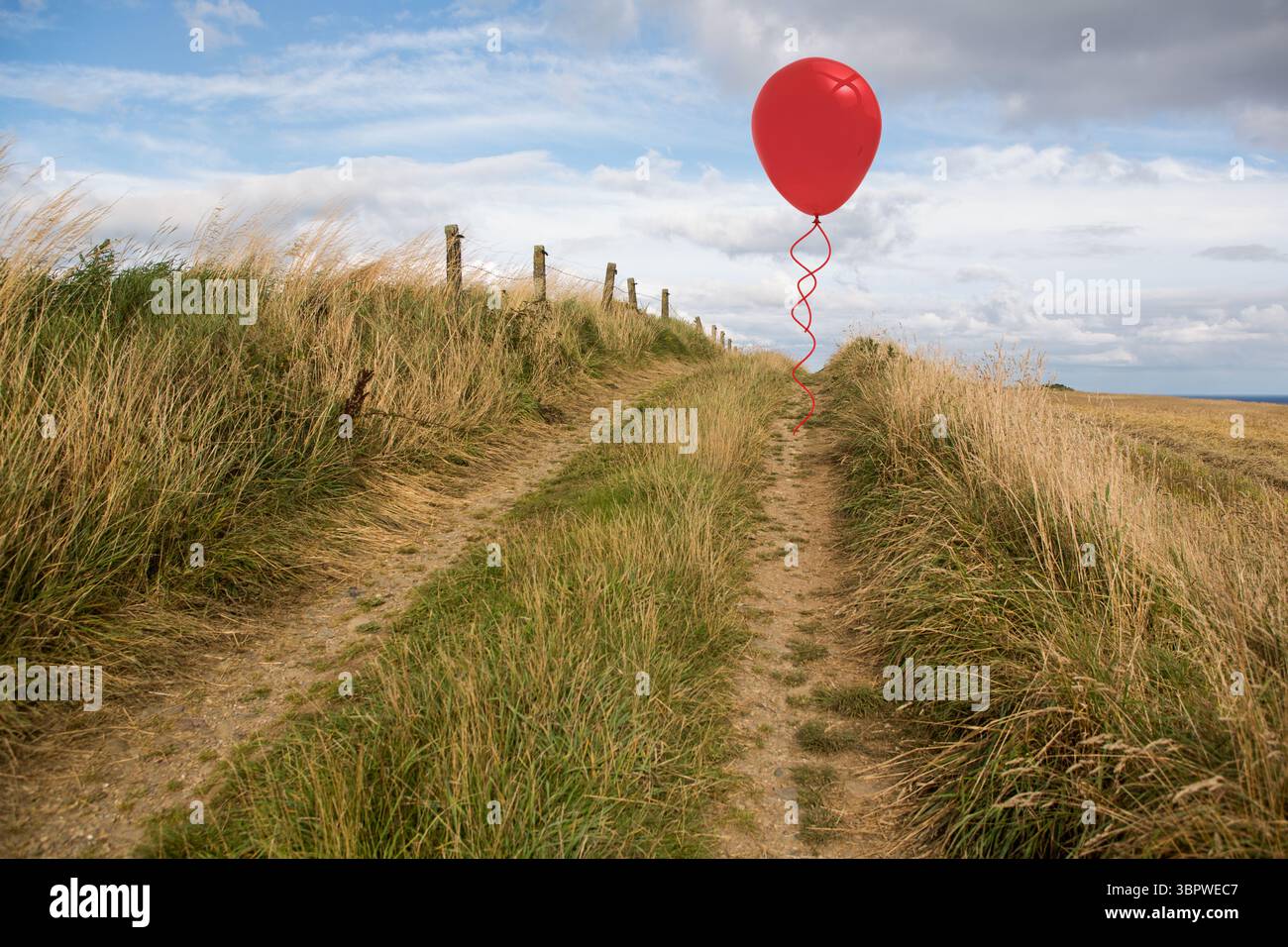 Roter Ballon, der über einer rutschigen Schiene mit Holzdrahtzaunpfosten schwimmt, wilde Gräser in flacher Bauweise Stockfoto