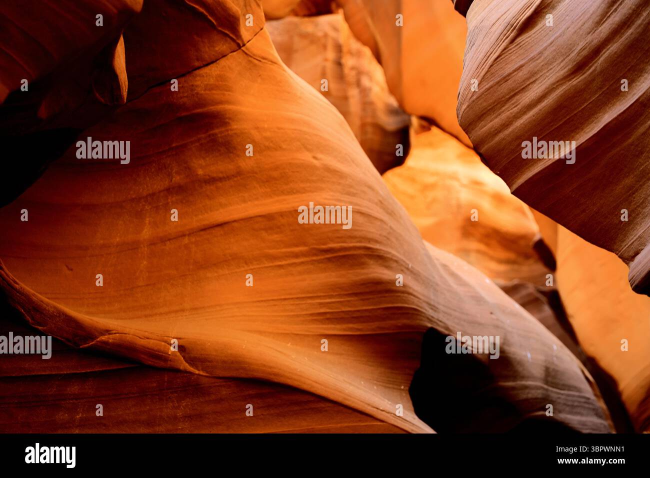 Goldene orangene und rote Sandsteinwellen fließen durch die enge Passage des Antelope Canyon, die von Wind und unnachgiebiger Erosion des Wassers über Äonen geformt wird. Stockfoto