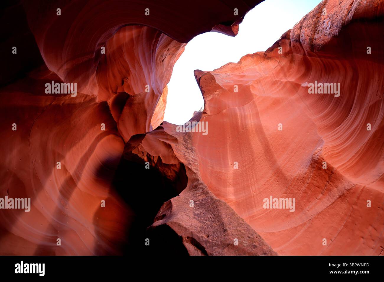 Sonnenlicht umschmeichelt die roten und orangen Sandsteinmauern des Antelope Canyon in Page Arizona und zeigt plastische Wellen und lebendige Wüstentexturen. Stockfoto
