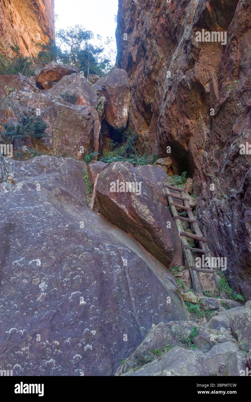 Eine hölzerne Leiter im Riss im Royal Natal National Park. Stockfoto