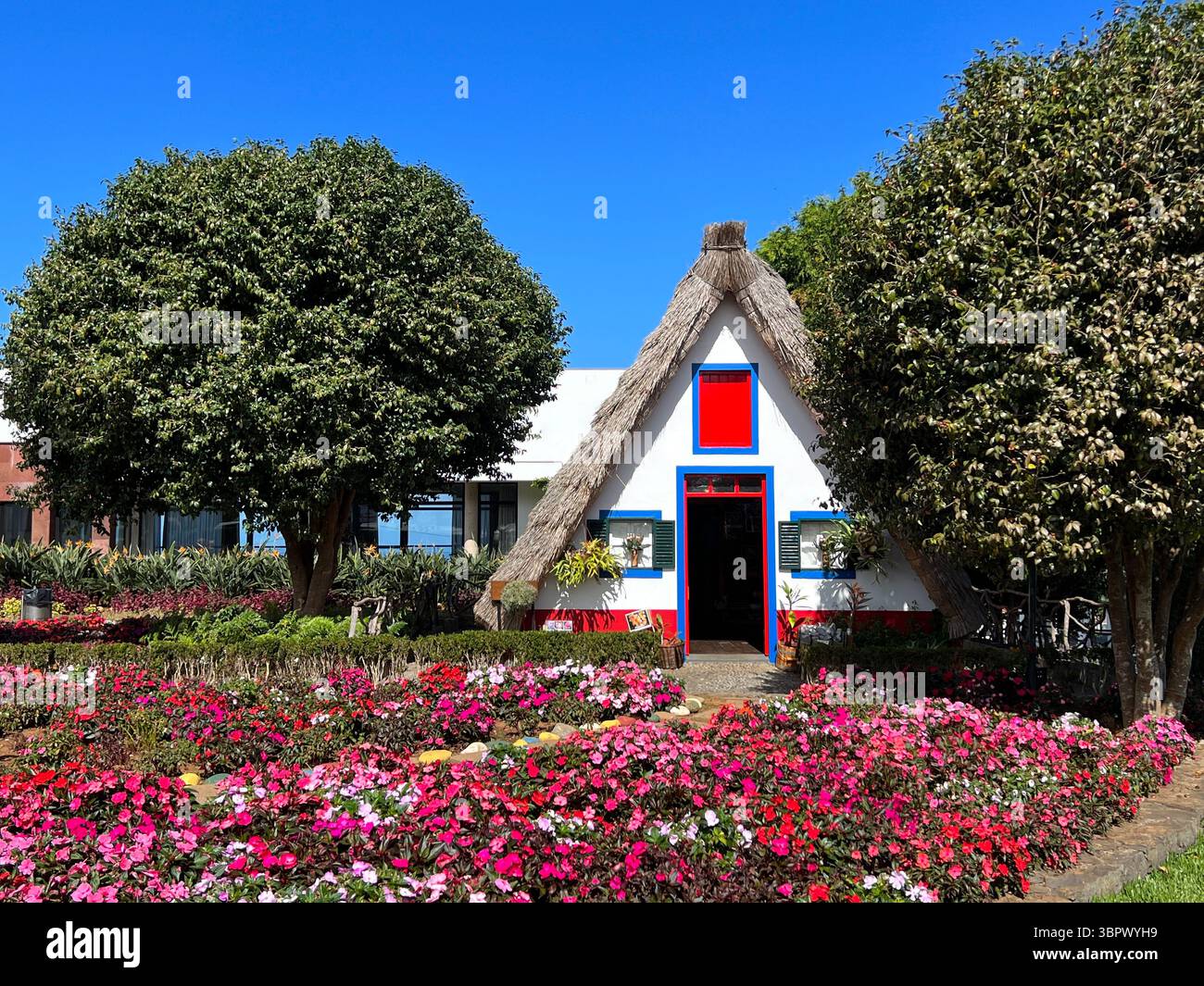 Santana, Madeira, Portugal, 21. Oktober 2021, Ein farbenfrohes traditionelles Haus mit einem Strohdach Stockfoto