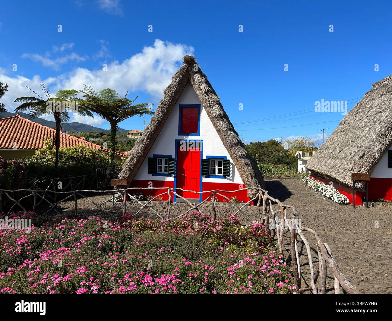 Santana, Madeira, Portugal, 21. Oktober 2021, Ein farbenfrohes traditionelles Haus mit einem Strohdach Stockfoto