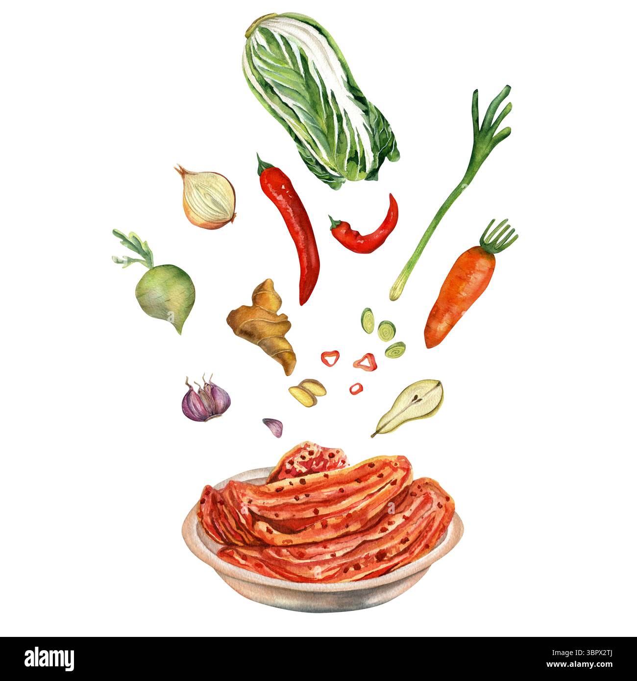 Aquarellillustration des traditionellen koreanischen Essens Kimchi auf einem von Hand gezeichneten Teller, isoliert auf weißem Hintergrund für Stoff, Textil, Drucke, Design. Stockfoto