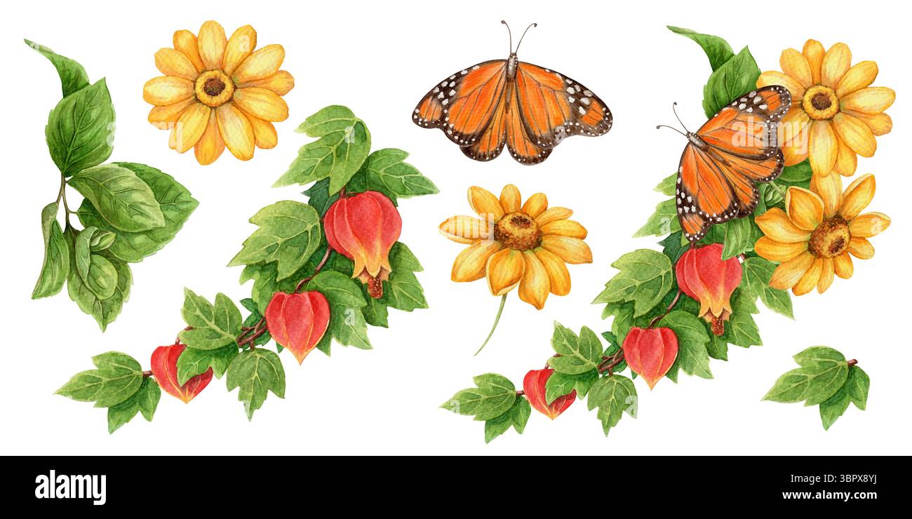 Set mit Ährenzweig und Monarchschmetterling im realistischen Aquarellstil. Gelbe Sonnenblumen und botanische Elemente bilden ein lebhaftes tropisches Arrangement Stockfoto