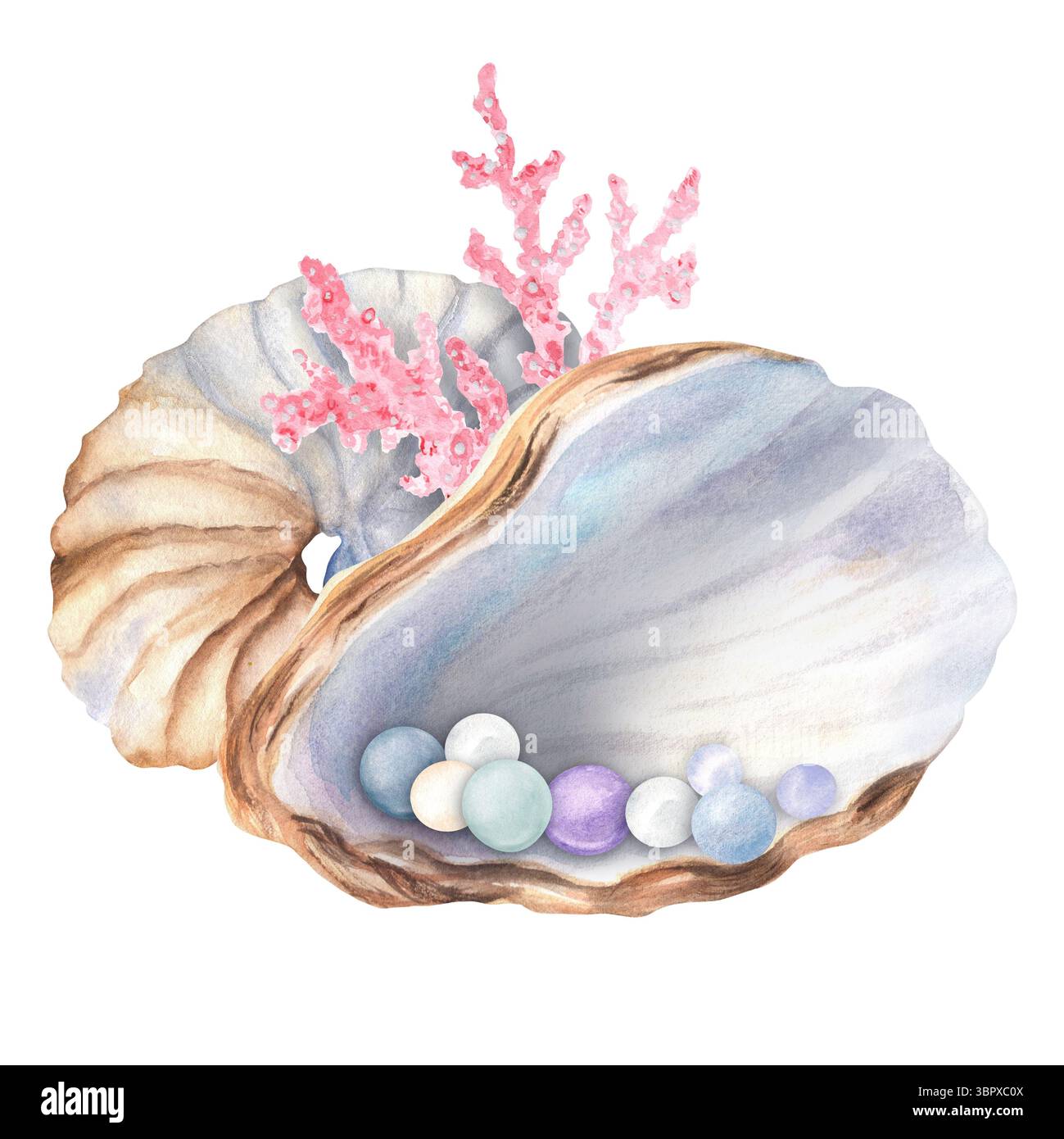 Eine Komposition aus großen Aquarellen nautilus Muschel, einer Hälfte Austernschale mit bunten Perlen und rosa Korallen. Unterwasserwelt Clipart. Handgezeichnet krank Stockfoto