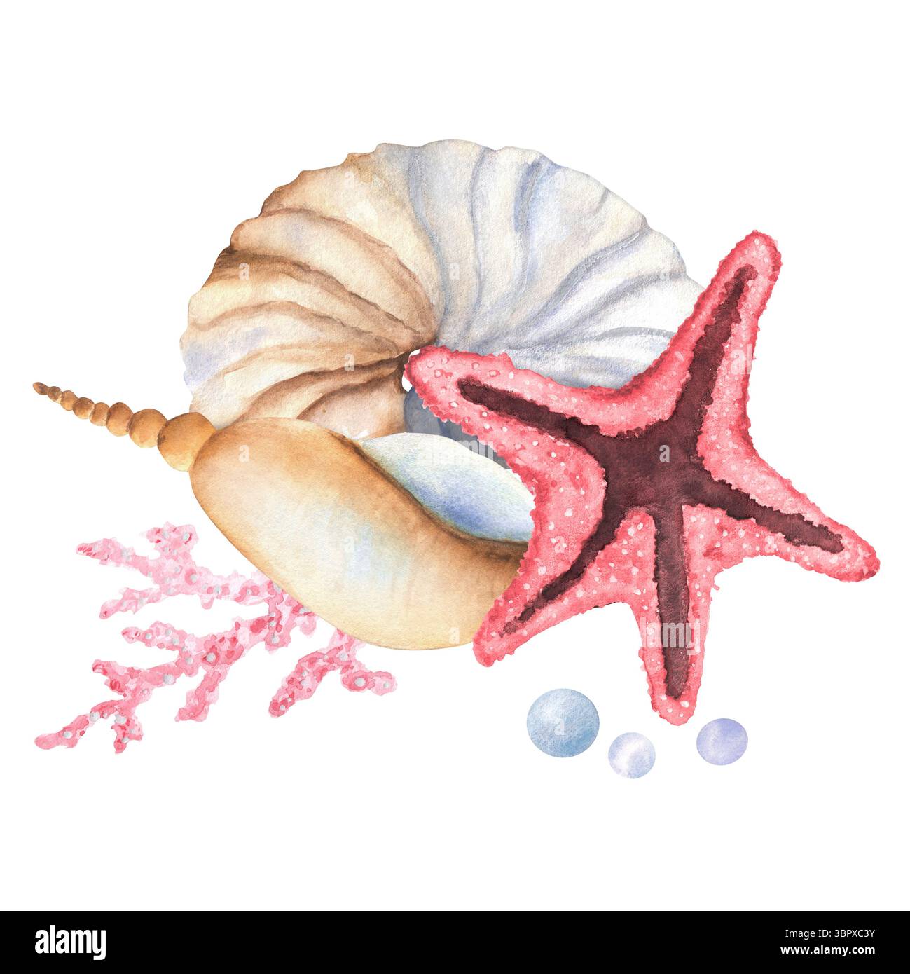 Meereskomposition mit Muscheln in Aquarellen, nautilus, Seesternen, rosa Korallen und Perlen. Unterwasserwelt Clipart. Meeresbewohner. Handgezeichnete Illustratio Stockfoto