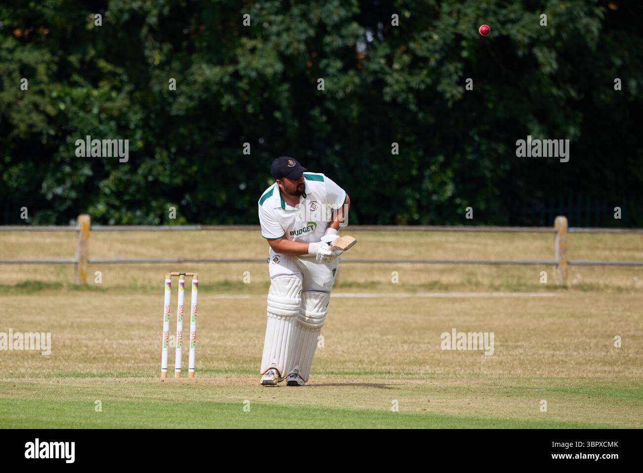 Ein Schlagmann, der einen Lauf bei einem Amateur-Cricket-Spiel anfängt. Stockfoto