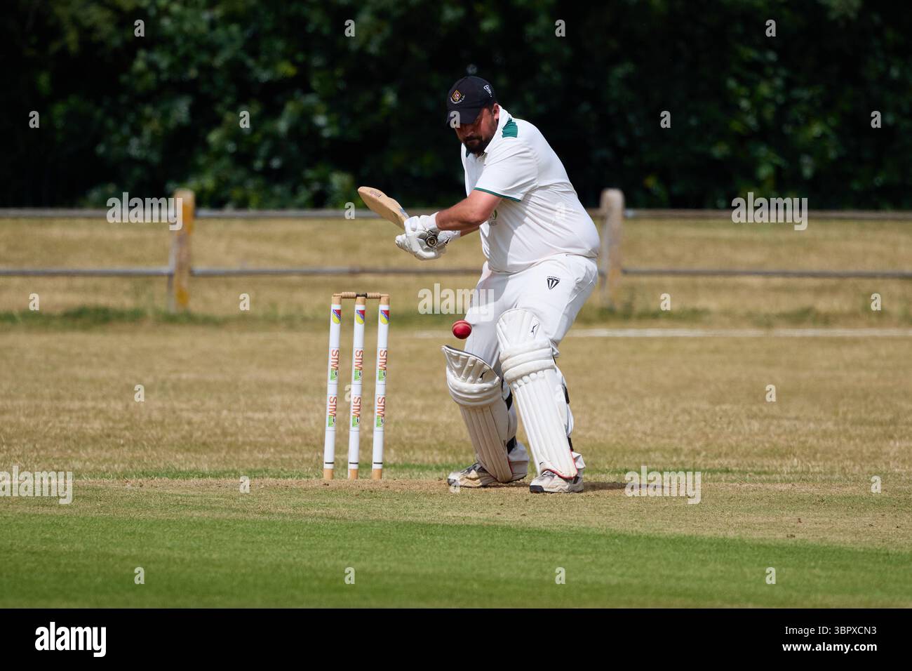Ein Schlagmann, der gerade einen schnellen Ball in einem Amateur-Cricket-Match schlägt. Stockfoto