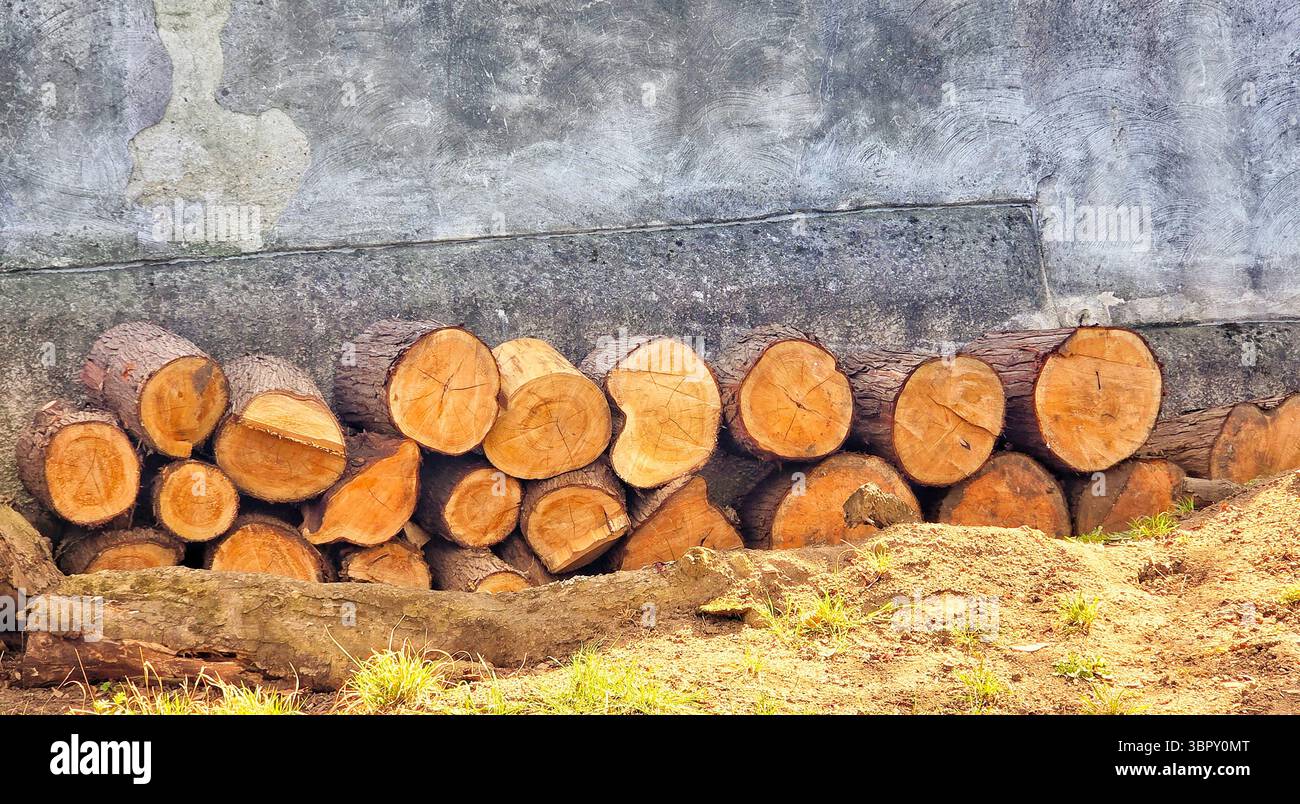Ein ordentlich gestapelter Haufen frisch geschnittener Brennholzstämme auf einer rustikalen Steinmauer, die im Winter Wärme und Komfort bieten. - Smartphone-aufgenommenes Stockfoto