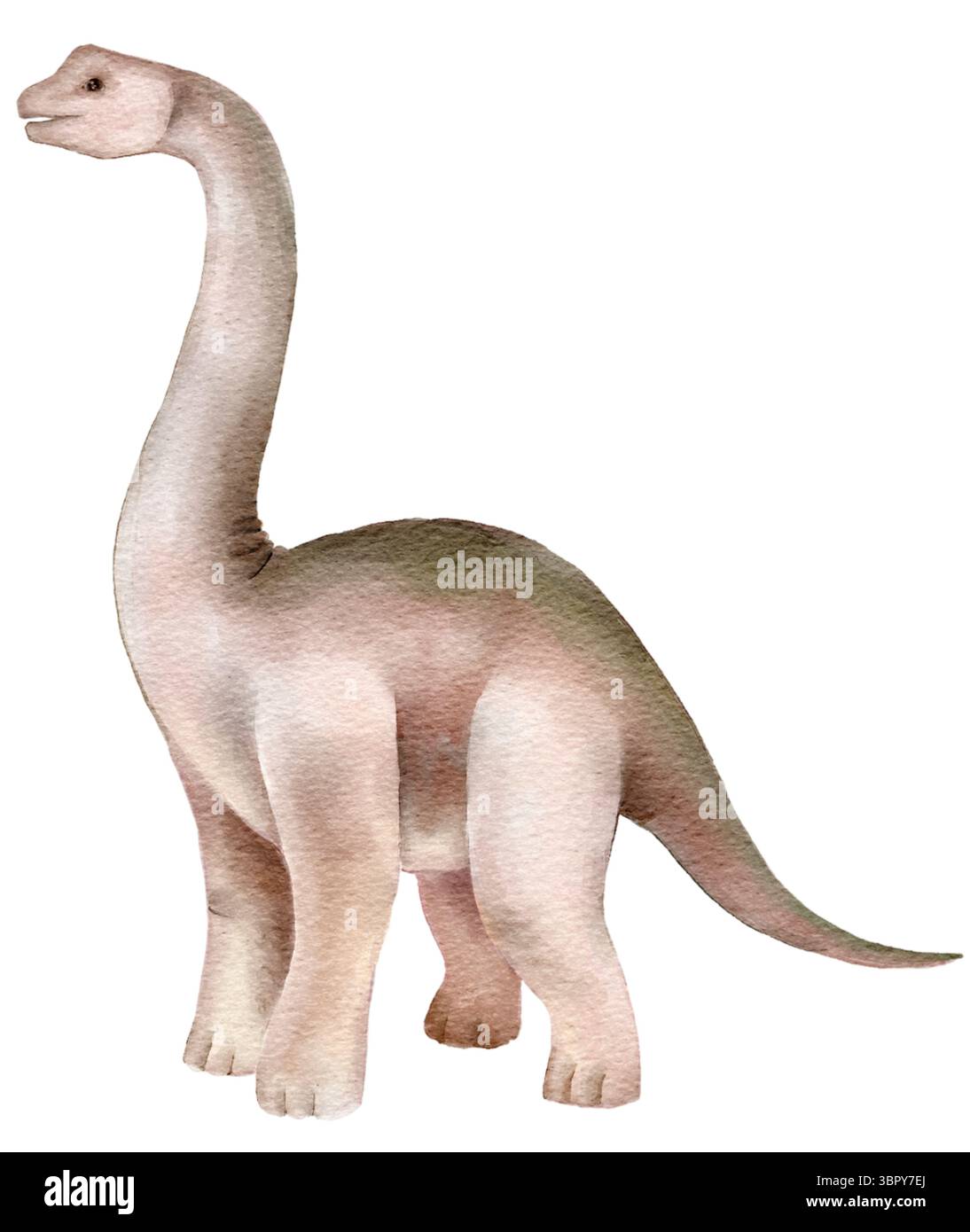 Aquarellkunstwerk einer Brontosaurus-Variante auf weißem Hintergrund. Sanftes Dinosaurierdesign mit langem Hals, perfekt für Kinderdekorationen, lehrreiche Aufdrucke oder Gi Stockfoto