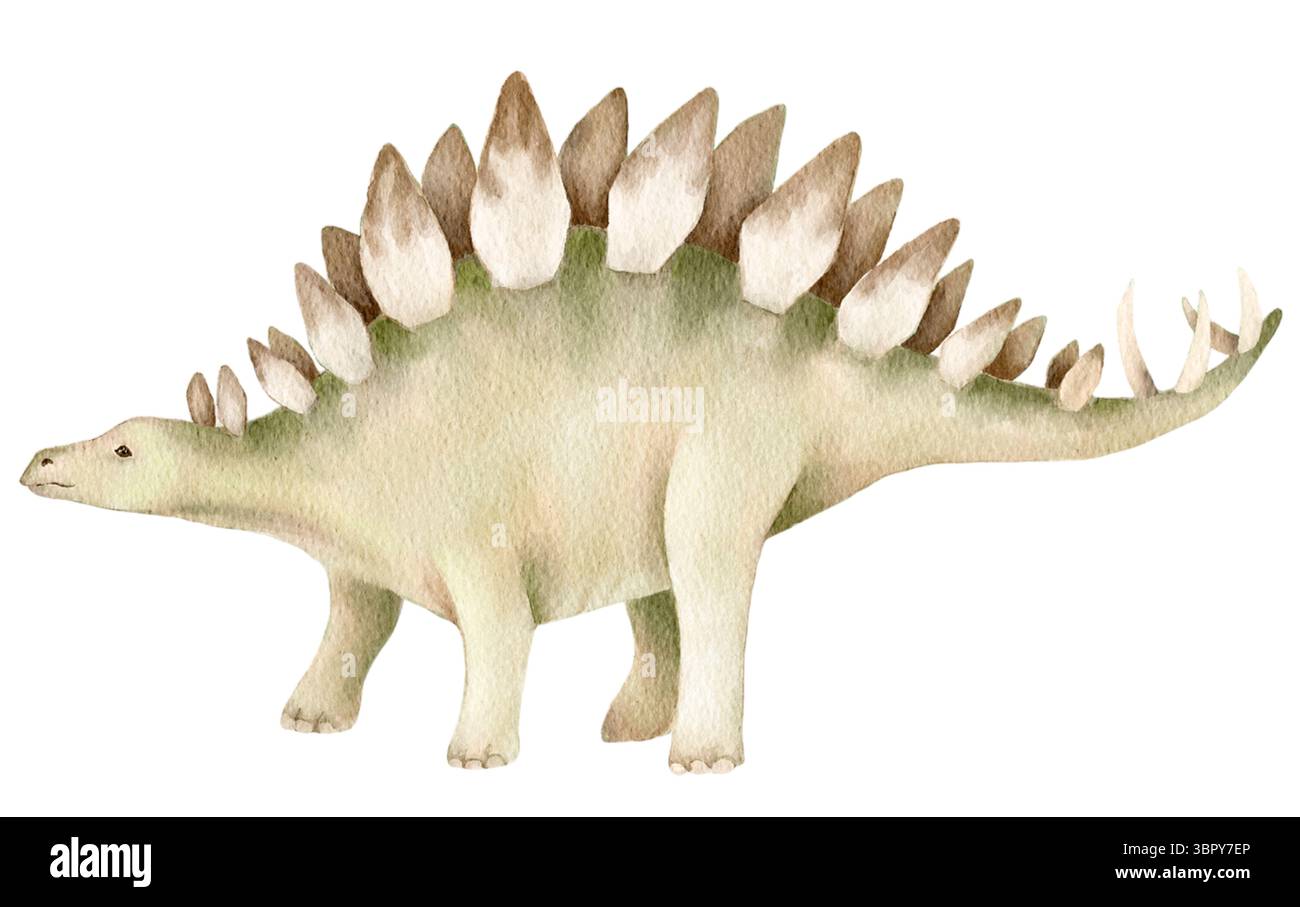 Aquarellmalerei eines Stegosaurus auf weißem Hintergrund. Verspieltes prähistorisches Reptiliendesign perfekt für Kinder Wanddekor lehrreiche Drucke oder Fab Stockfoto