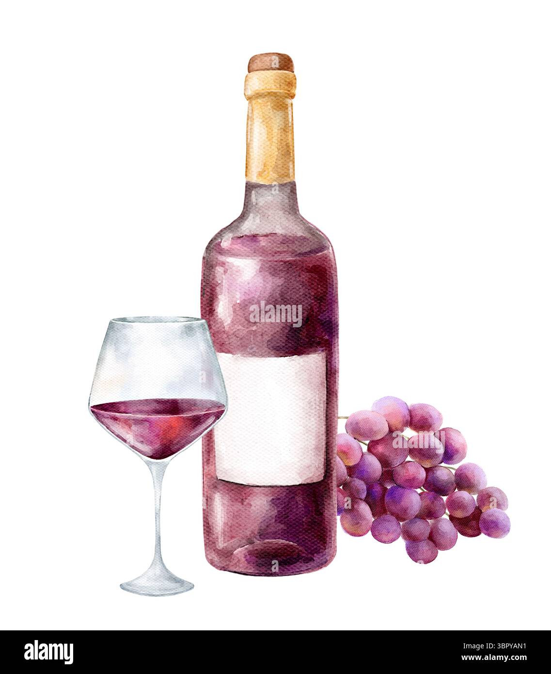 Aquarell handgemalt Illustration Wein Flasche Gläser, Trauben und Käse Clipart, weiß- und Rotwein, Veilchen Getränk, Clipart isoliert auf weißem Hintergrund Stockfoto