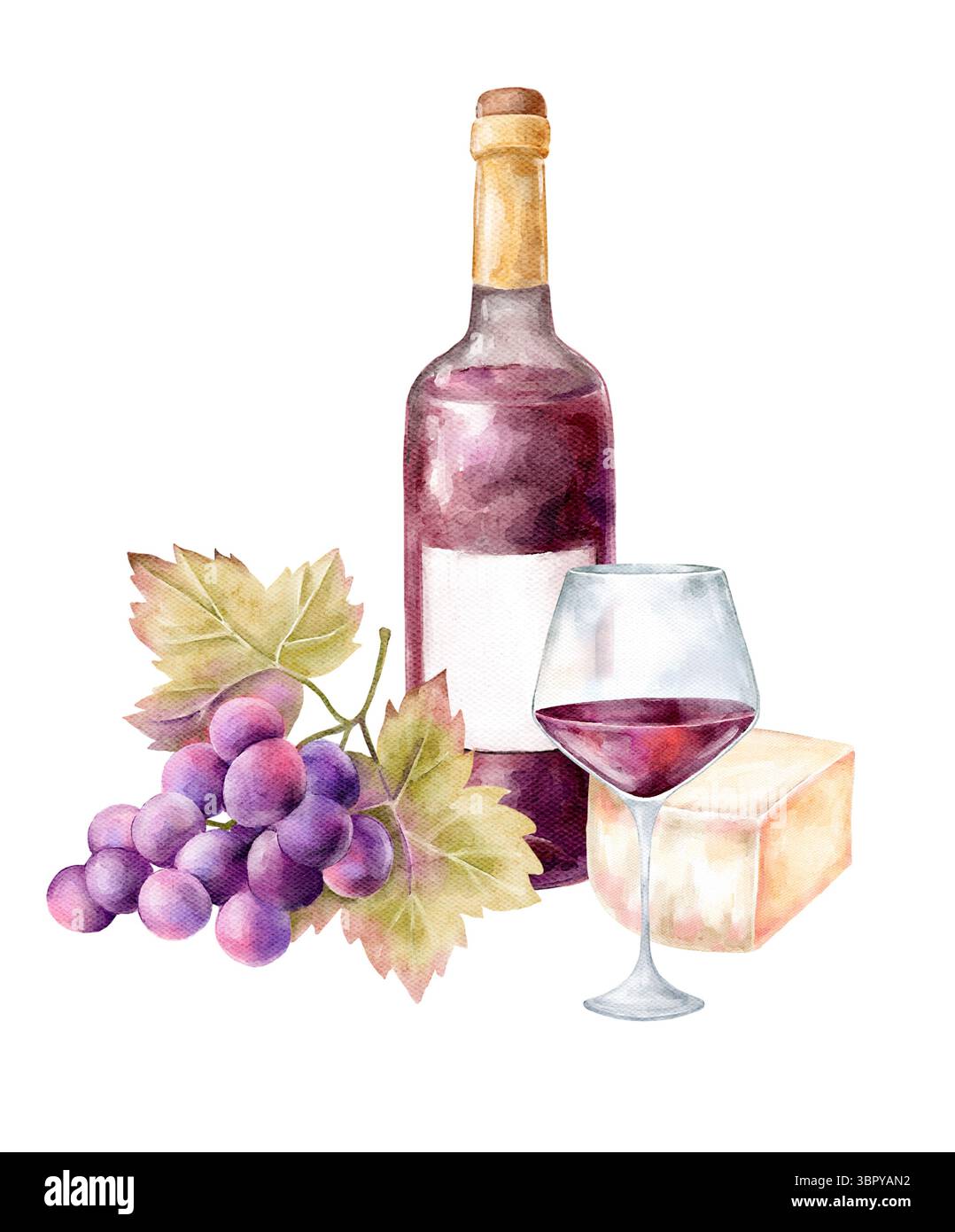 Aquarell handgemalt Illustration Wein Flasche Gläser, Trauben und Käse Clipart, weiß- und Rotwein, Veilchen Getränk, Clipart isoliert auf weißem Hintergrund Stockfoto