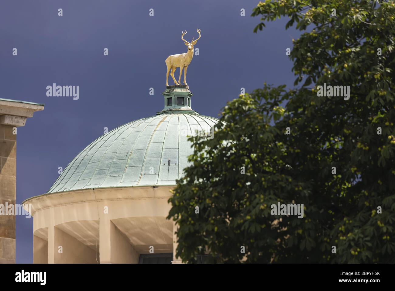 Kunstgebäude am Schlossplatz, entworfen vom Architekten Theodor Fischer. Ein goldener Hirsch steht auf der Kuppel. Die Skulptur wurde vom Bildhauer Ludwig entworfen Stockfoto