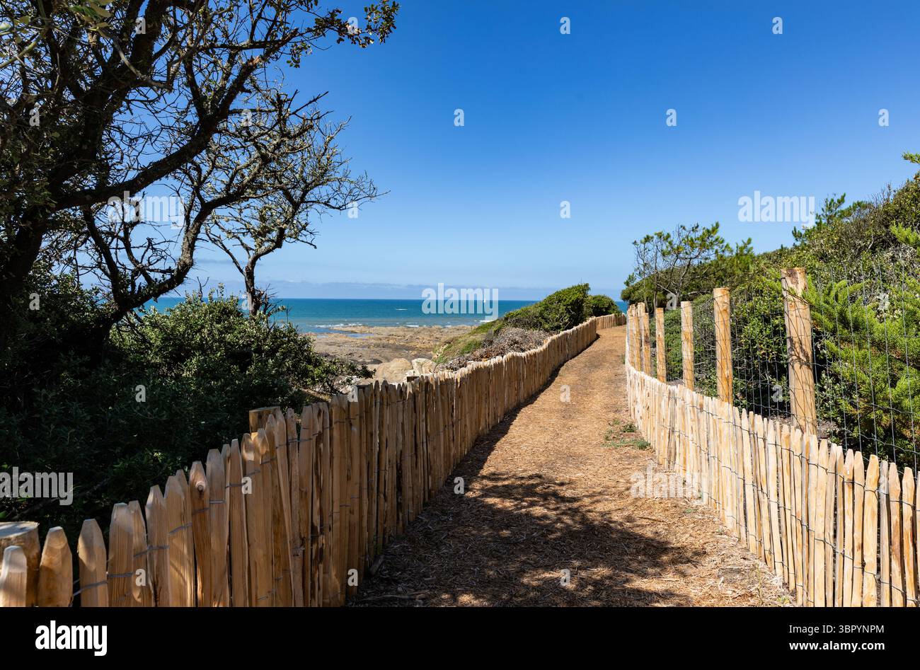 Zollweg in Talmont Saint Hilaire (Vendee - Frankreich) Stockfoto