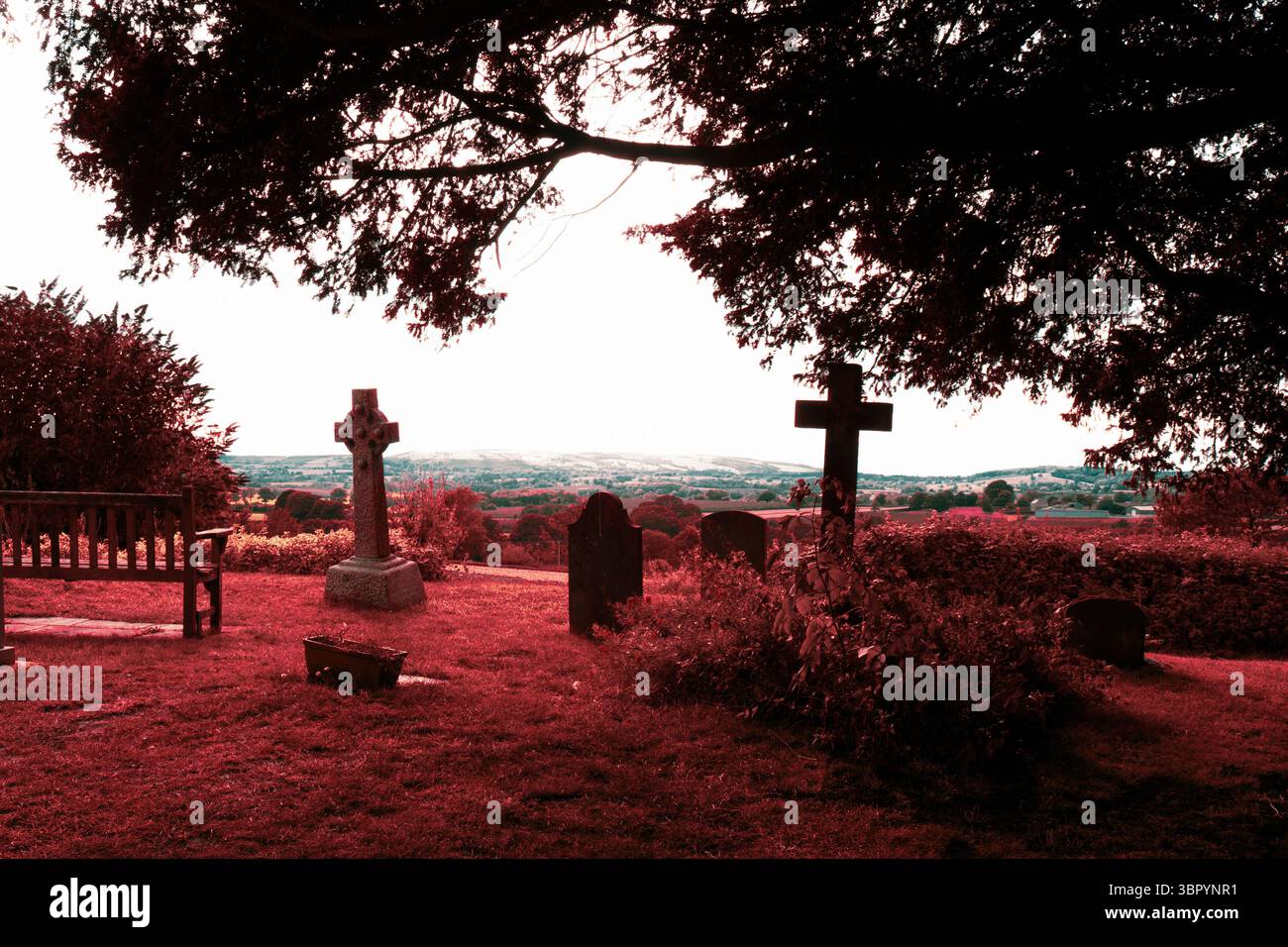 Ein seltsames Infrarot wie Vaporwellenbearbeitung. Grabsteine auf einem Friedhof, auf dem Land an einem Sommertag Stockfoto