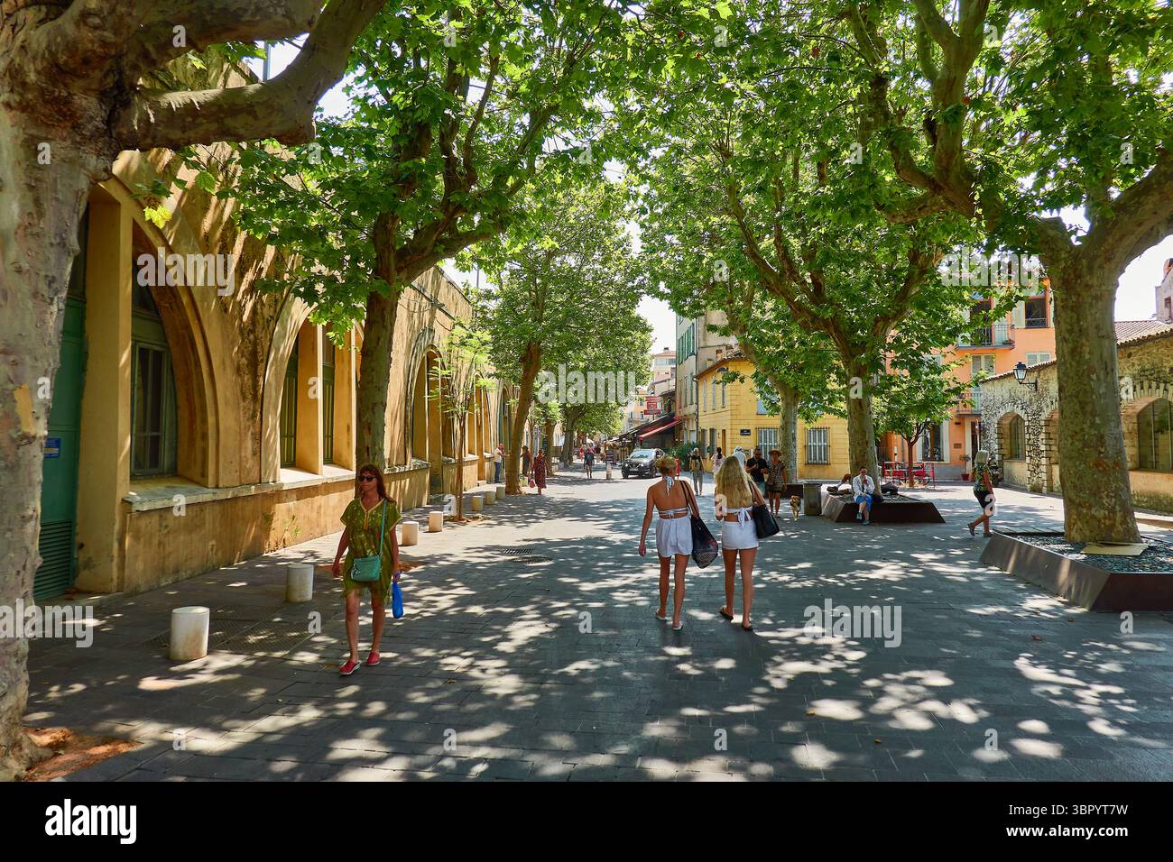 Von Bäumen gesäumte Straße in Antibes, Frankreich, mit Menschen, die in sonniger urbaner Umgebung spazieren gehen Stockfoto