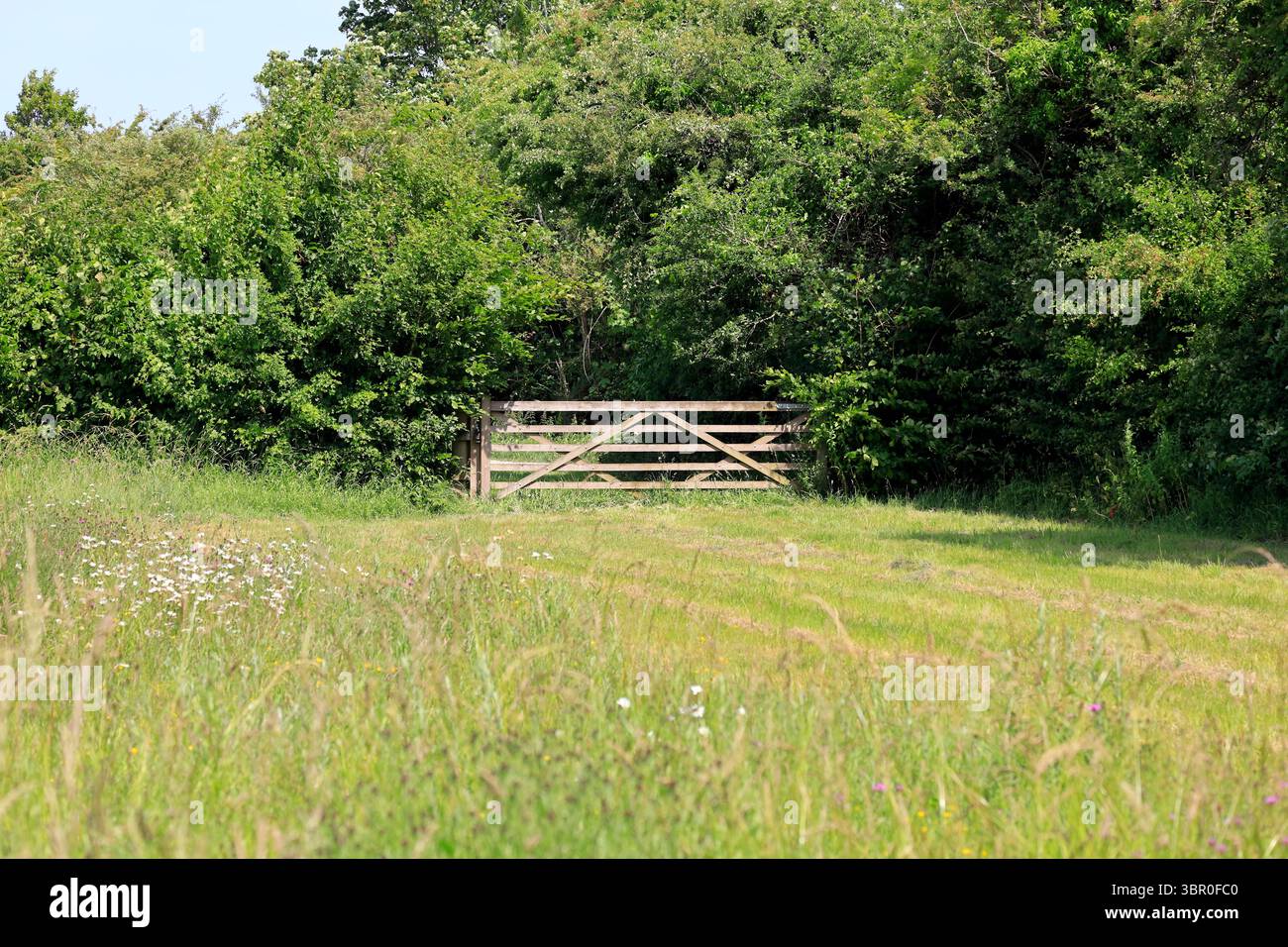 Hölzernes 5-Bar-Tor in einer Wiese, Penarth, Cardiff, Südwales Stockfoto