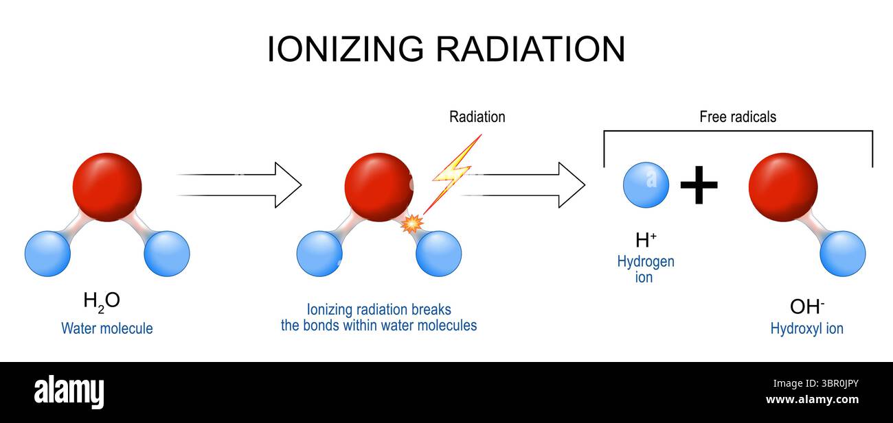 Freie Radikale und direkte Ionisation. Ionisierende Strahlung bricht die Bindungen innerhalb von Wassermolekülen. Wasserstoff-Ion und Hydroxyl-Ion. Detaillierter Vektorpost Stock Vektor