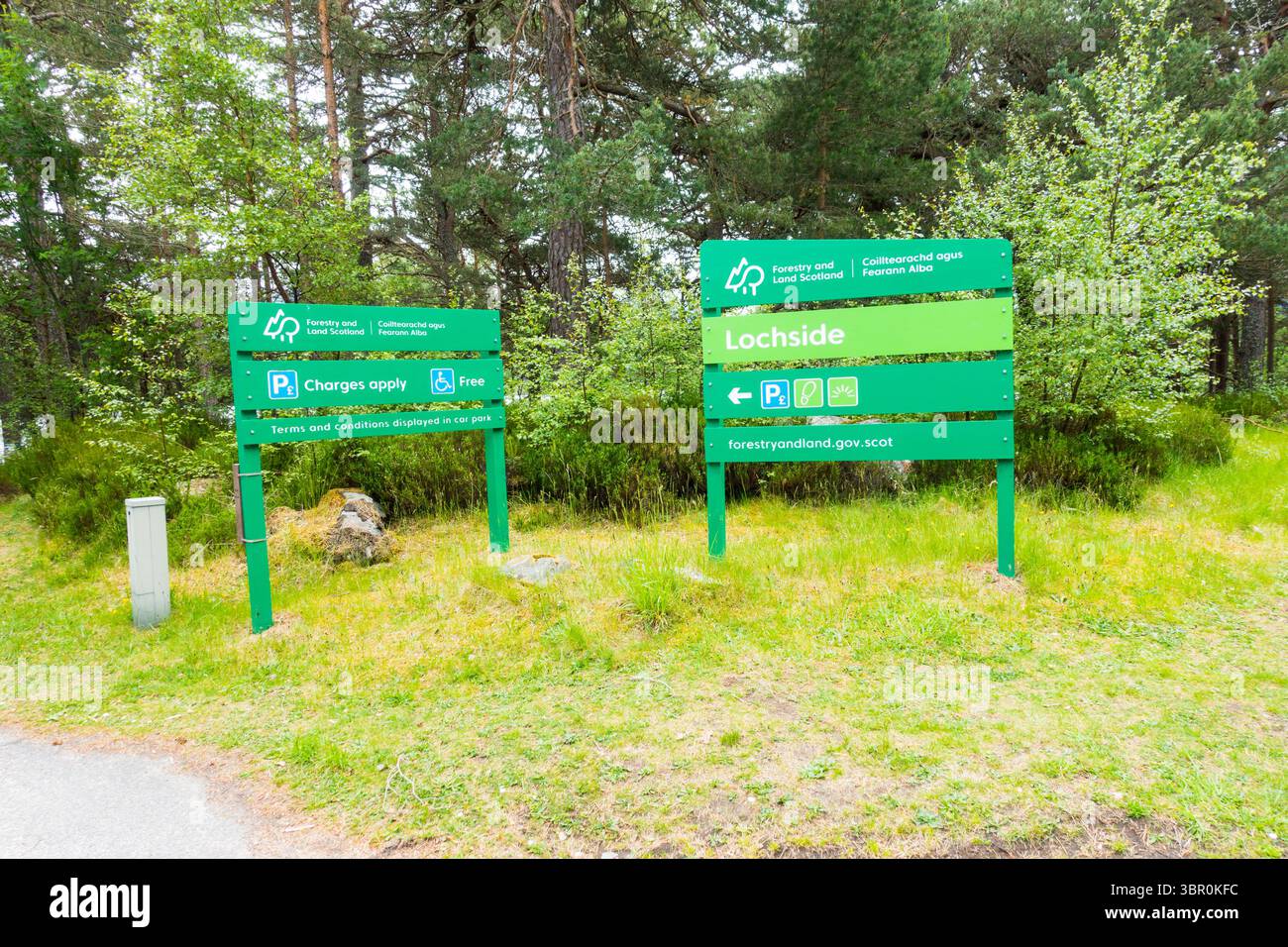 Lochside Parkplatz, Loch Morlic, Glenmore, Cairngorms, Schottland, Großbritannien. Stockfoto