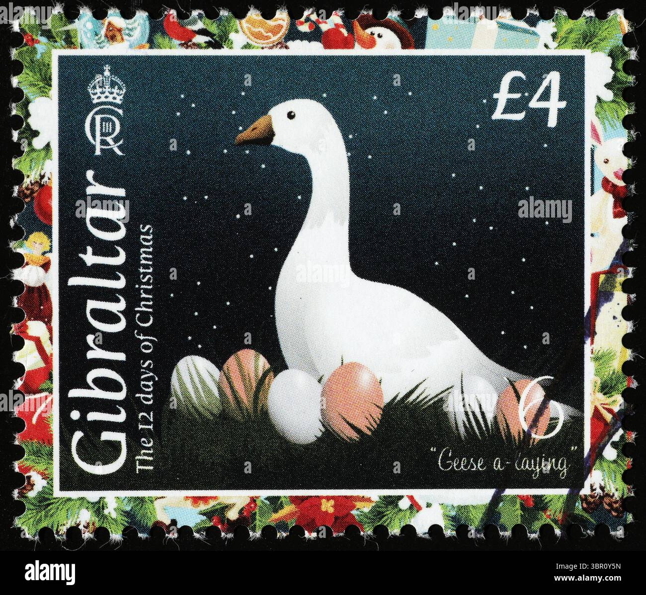 12 Tage Weihnachten - 6 Gänse auf Gibraltar Stockfoto