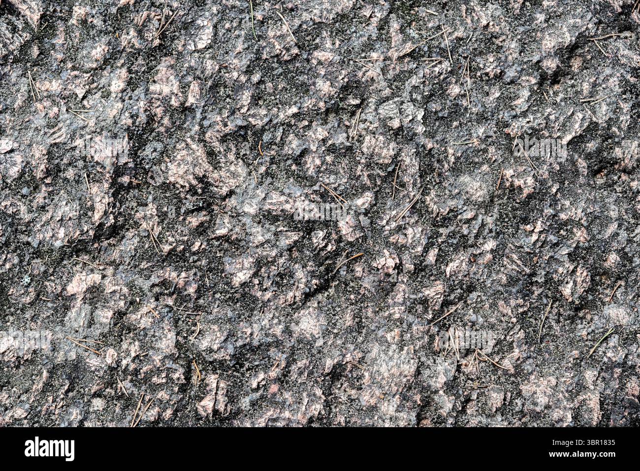 Granitsteinoberfläche mit Rauheit und Unebenheit mit alten Kiefernnadeln als abstrakten Hintergrund und Textur. Stockfoto
