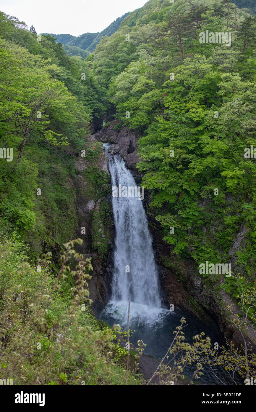 Die großen Fälle von Akiu, an einem bewölkten Frühlingsmorgen ohne Leute. Stockfoto