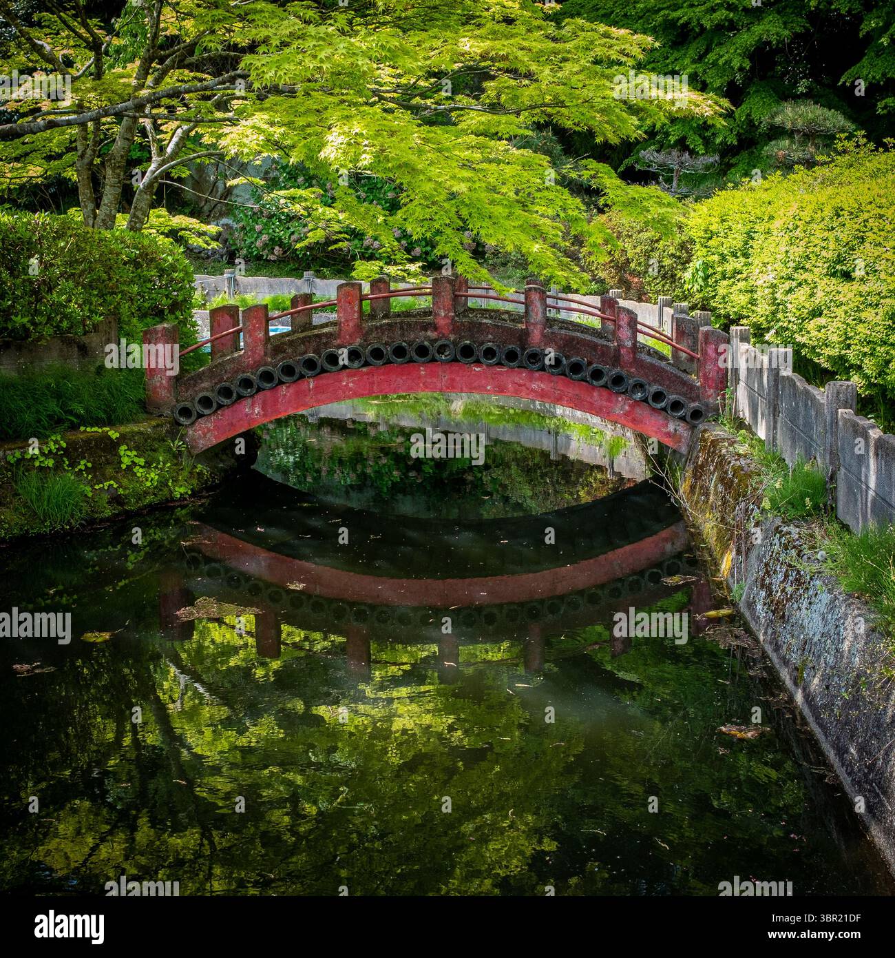 Rote japanische traditionelle Tempelbrücke, die im Wasser reflektiert. Aufgenommen am Eingang des Zuigan-JI-Tempels, Sendai, Japan, im Frühling ohne Stockfoto