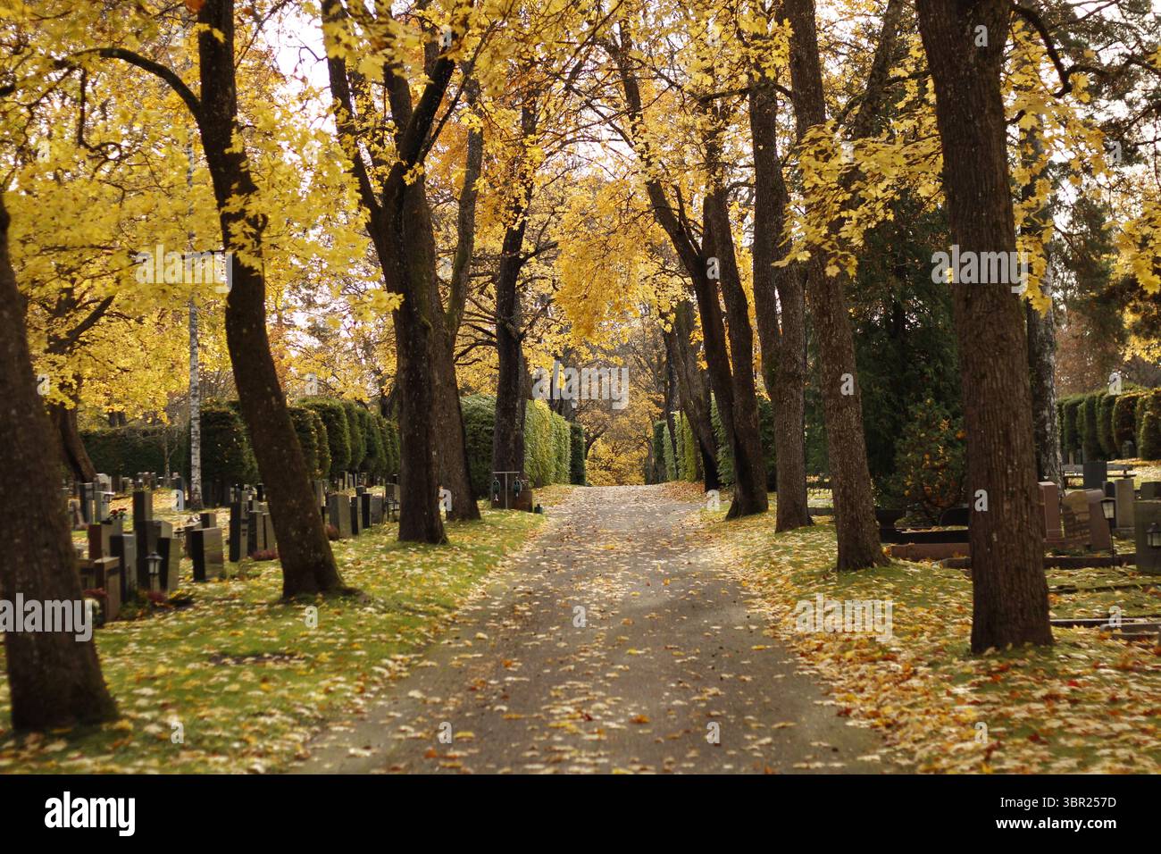 Der Fußweg auf dem alten Friedhof von Turku im Herbst, umgeben von Grabsteinen und gefallenen Blättern. Stockfoto