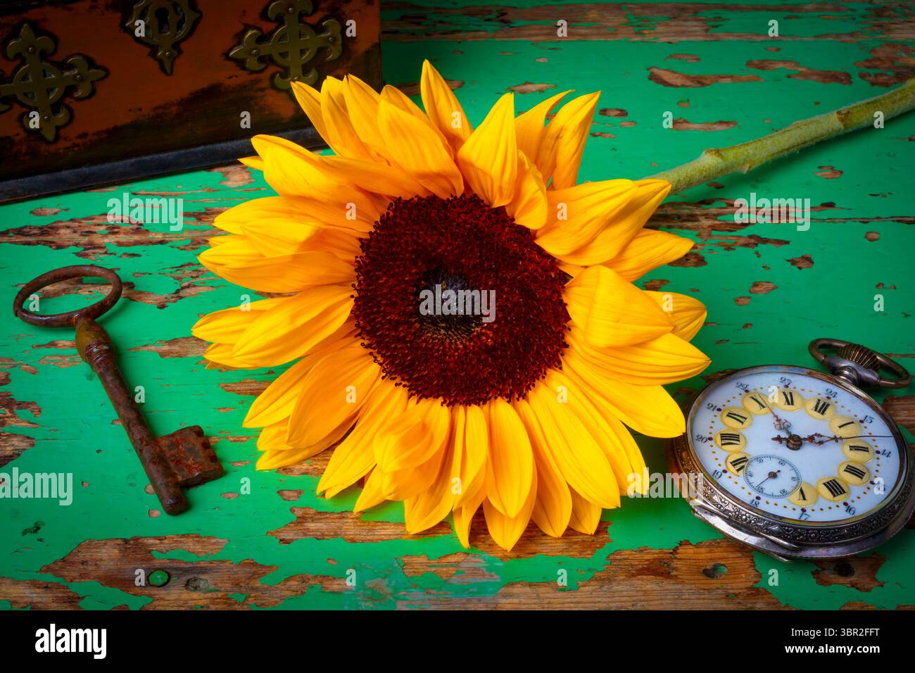 Sonnenblume Und Schlüssel Mit Taschenuhr Mit Alter Brust Auf Abgetragenem Green Table Stillleben Stockfoto