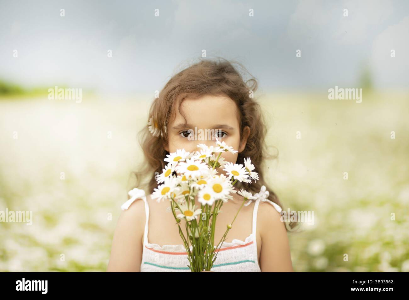 Niedliches kleines Maedchen im Kamillenfeld beim Blumenpfluecken Stockfoto
