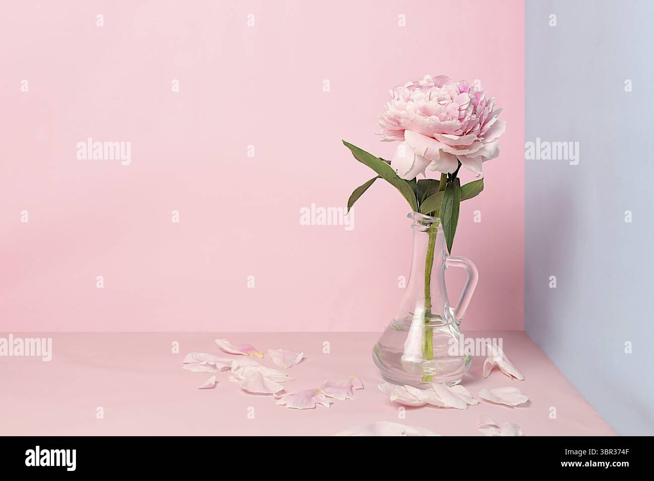 Abstraktes Blumenarrangement, leeres Podium für Produkt und frische Pfingstrosenblüten, Bühne zur Demonstration von Produkt- und Geschäftskonzept. Minimal moderne AE Stockfoto