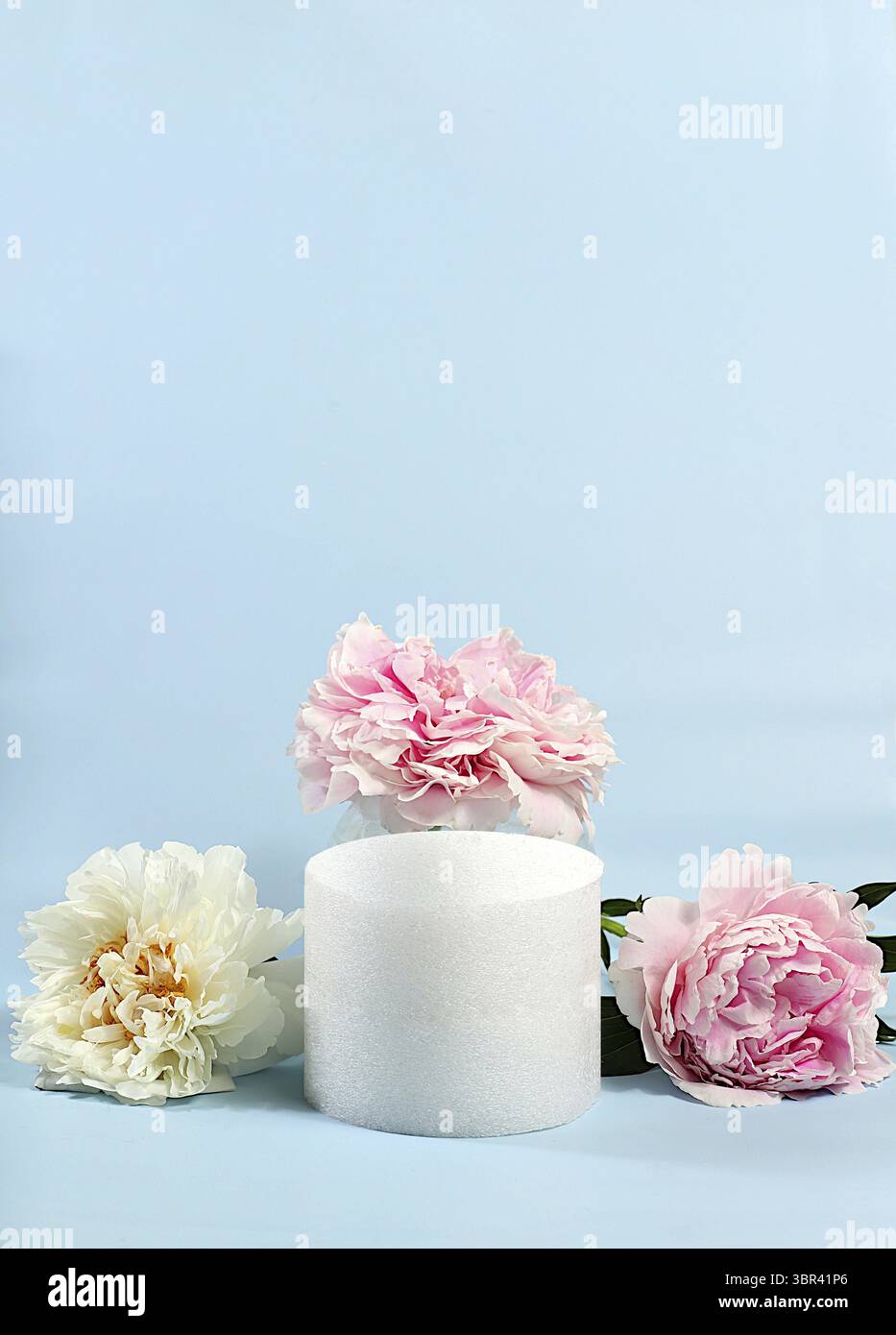 Abstraktes Blumenarrangement, leeres Podium für Produkt und frische Pfingstrosenblüten, Bühne zur Demonstration von Produkt- und Geschäftskonzept. Minimal moderne AE Stockfoto