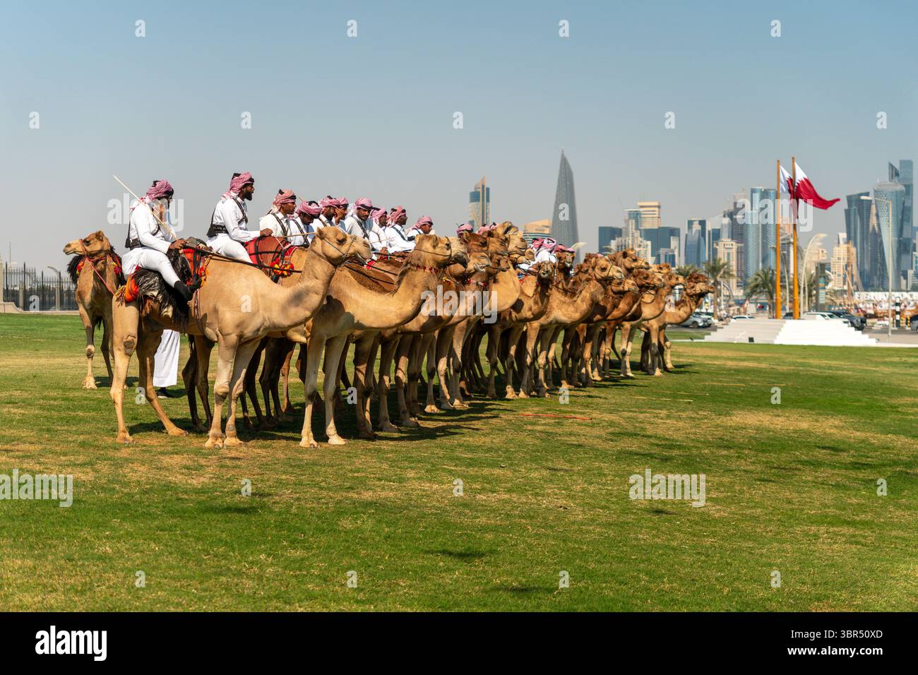Kamelreiter in traditioneller Kleidung fahren vor der modernen Skyline von Doha vorbei, Ein eindrucksvoller Kontrast zwischen Erbe und zeitgenössischer Stadtarchitektur Stockfoto