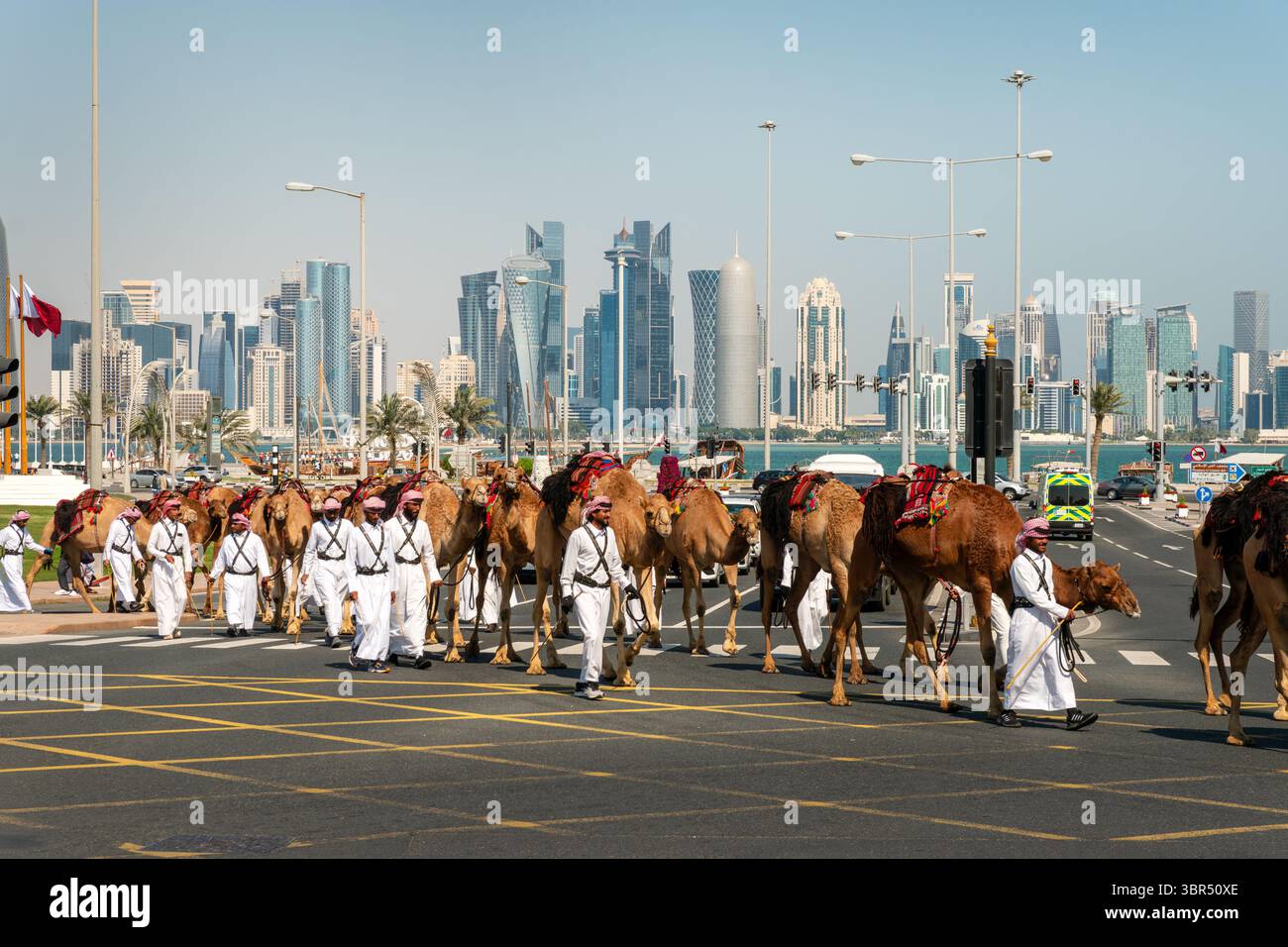 Kamelreiter in traditioneller Kleidung fahren vor der modernen Skyline von Doha vorbei, Ein eindrucksvoller Kontrast zwischen Erbe und zeitgenössischer Stadtarchitektur Stockfoto