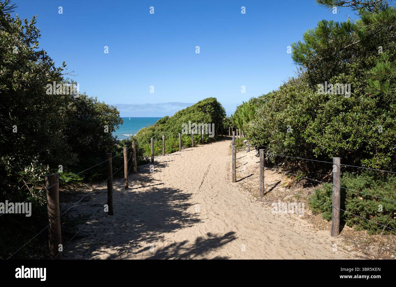 Zollweg in Talmont Saint Hilaire (Vendée - Frankreich) Stockfoto