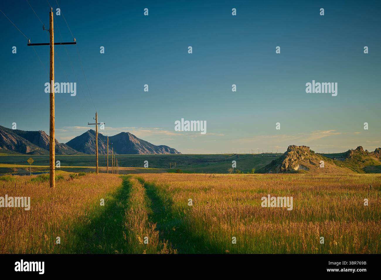 Der Weg führt durch die Wiese entlang der Front von Colorado Stockfoto