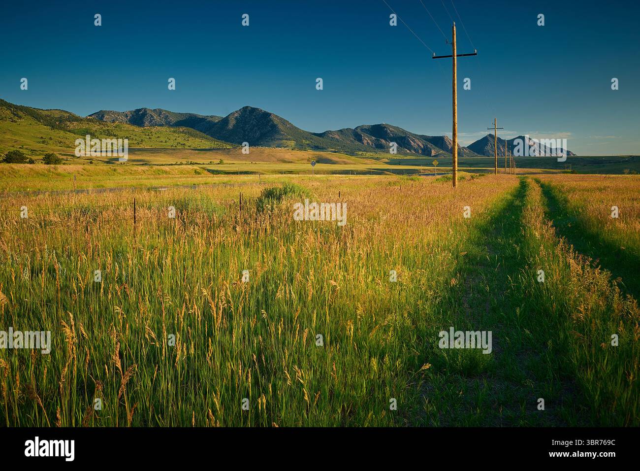 Der Weg führt durch die Wiese entlang der Front von Colorado Stockfoto