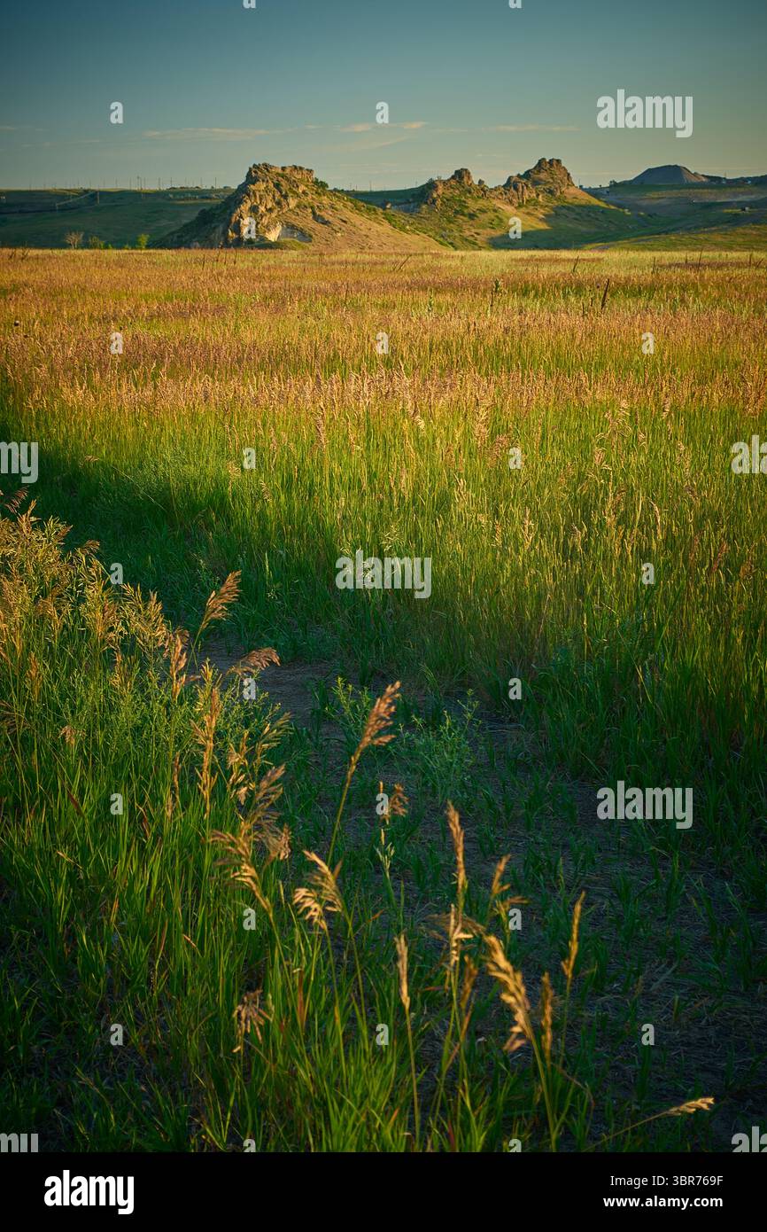 Der Weg führt durch die Wiese entlang der Front von Colorado Stockfoto