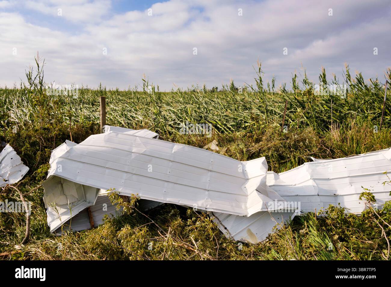 12. August 2020, Polk City, Iowa, USA: Aluminium-Abstellgleis aus einer Scheune, die am Rande eines Maisfeldes im Zentrum von Iowa gelandet ist. Laut Iowas Gouverneur Kim Reynolds beschädigte der Sturm 10 Millionen Hektar Mais und Sojabohnen in Iowa, etwa 1 Drittel der 32 Millionen Hektar Land landwirtschaftlicher Fläche in Iowa. Justin Glisan, Iowas State Meteorologe, sagte, der Sturm am Montag, den 10. August, dauerte 14 Stunden und reiste 770 Meilen durch den Mittleren Westen, bevor er in Ohio an Stärke verlor. Der Sturm war ein selten gesehenes „Derecho“, das geradlinige Winde von fast 100 MPH aufbrachte. Der Sturm stürzte die staaten des Mittleren Westens von Nebraska aus Stockfoto
