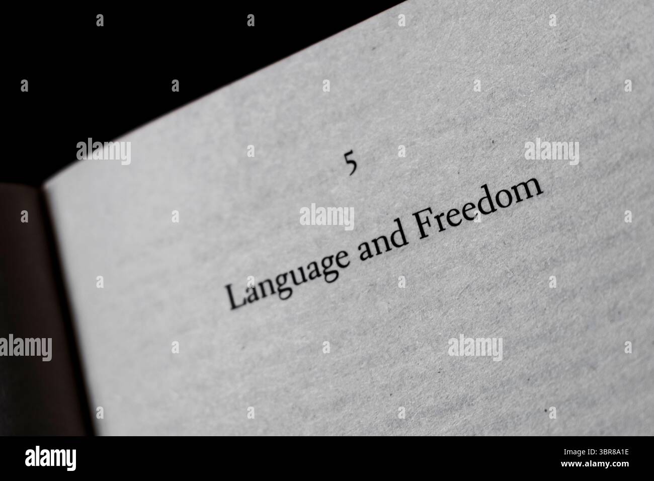 Nahaufnahme der Buchseite mit dem Wort „SPRACHE UND FREIHEIT“. Text in Whitepaper isoliert. Stockfoto