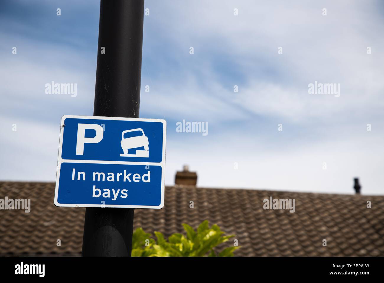 Blaues Parkschild mit einem weißen „P“, eine Fahrzeuggrafik auf einem Bordstein und Text mit der Aufschrift „in markierten Buchten“ – weist nur auf eingeschränktes Parken innerhalb der dafür vorgesehenen AR hin Stockfoto