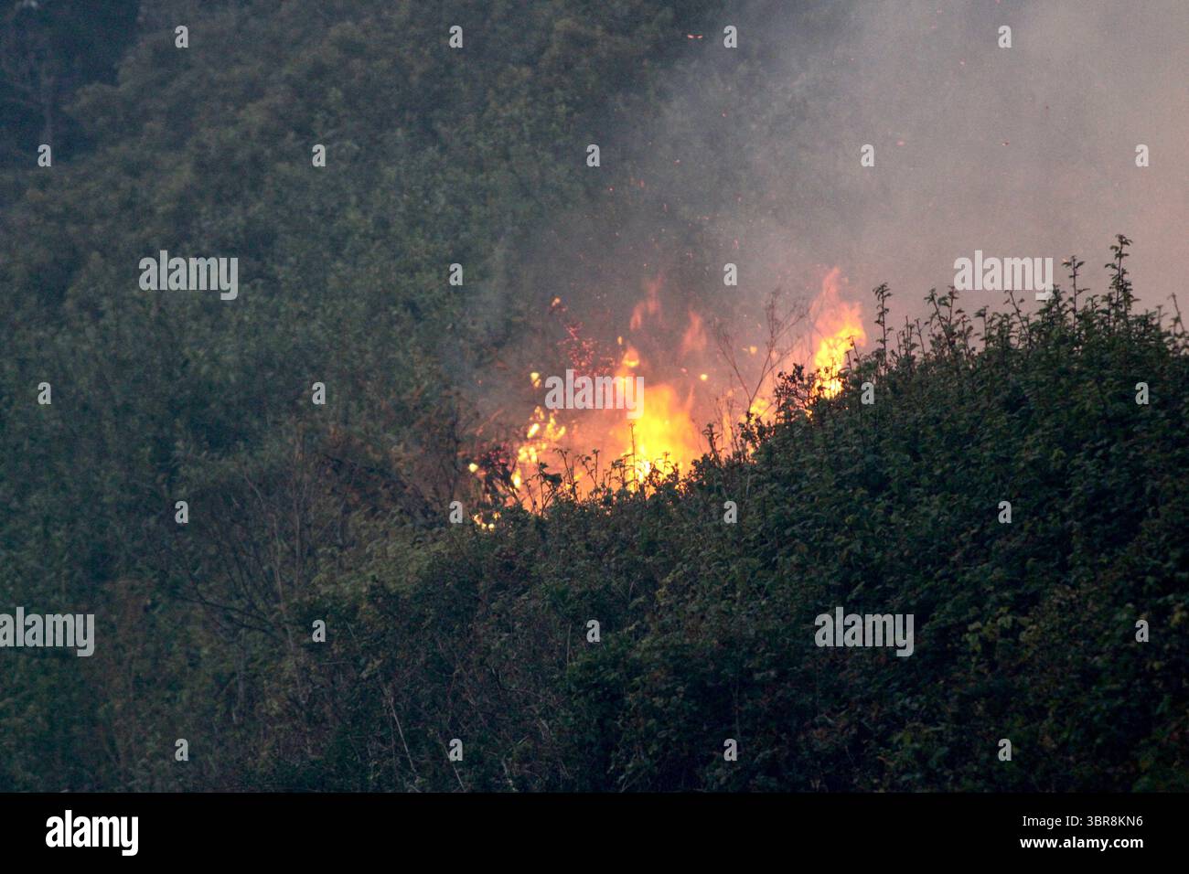 22. August 2020, Santa Cruz/Davenport, California, USA: CZU Lightning Complex Feuer: Highway 1 nördlich von Santa Cruz: ..Rauchembratbrand um den Sonnenuntergang am 21. August wieder entzündet, nachdem das Feuer Dutzende Häuser gestern auf dem landschaftlich reizvollen Abschnitt des Highway 1, auch bekannt als Cabrillo Highway, zwischen den Städten Santa Cruz und Pescadero zerstört hatte, Eine landschaftlich schöne 35 Meilen oder 56 km lange Fahrt entlang des Pazifischen Ozeans, der durch Rauch getrübt, evakuiert und stillgelegt wurde.von der Küste entlang der Rückseite des Big Basin State Park, in der Nähe der Last Chance Road, Anfang dieser Woche standen die Bewohner an vorderster Front für drei aufeinander folgende Brände Stockfoto