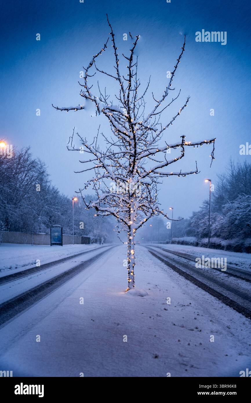 Der Blick auf einen schneebedeckten Baum mit Lichtern steht einsam inmitten der ruhigen, eisigen Landschaft, die ein warmes Licht gegen die kalten Blautöne ausstrahlt, Reykjavík, Reykjavíkurborg, Island. Stockfoto